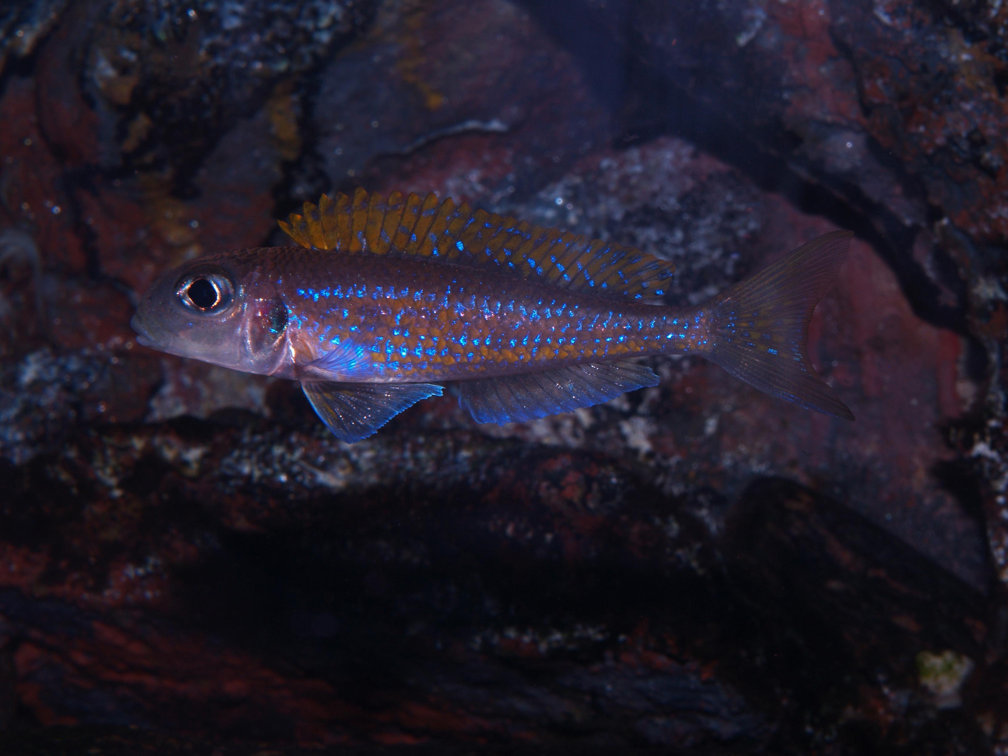 P1014515.jpg