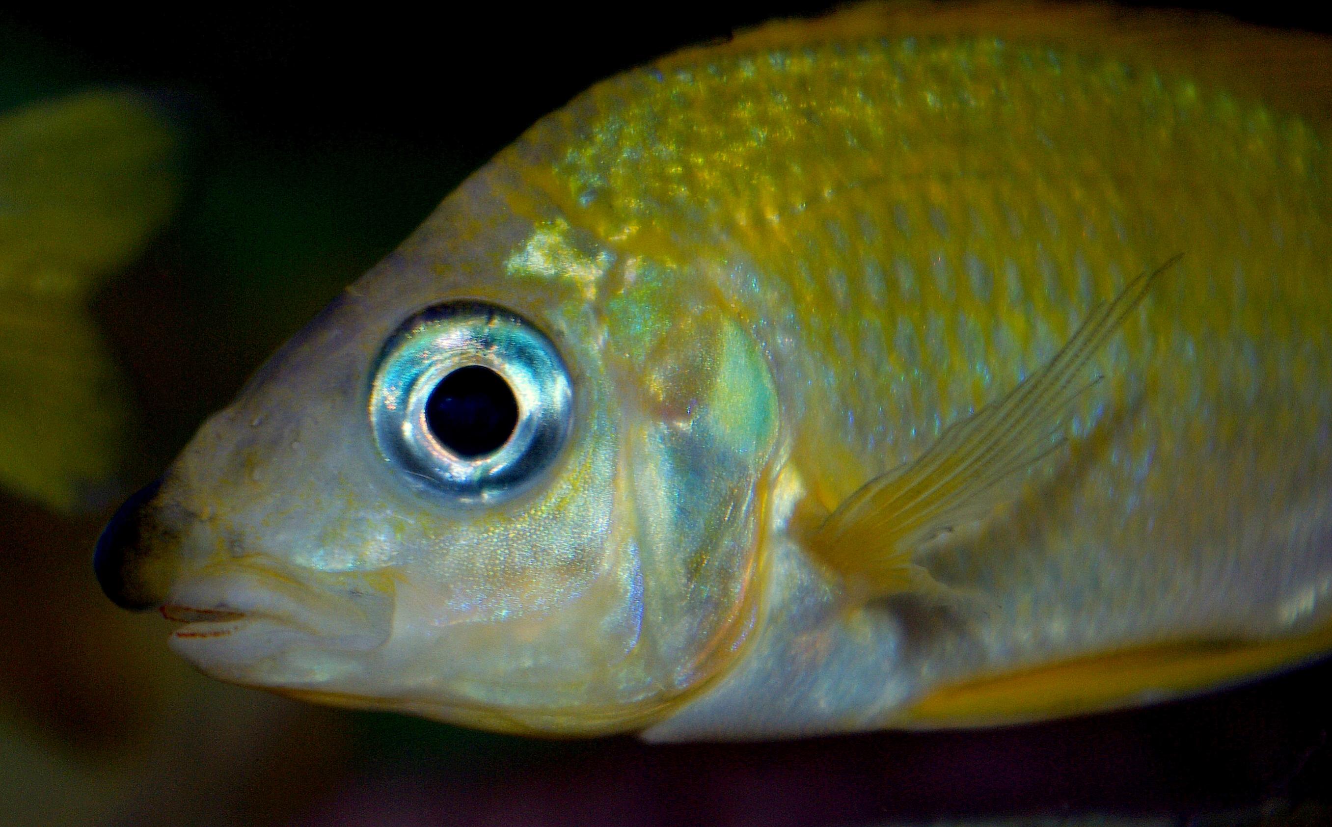 1-IMGP5790.jpg