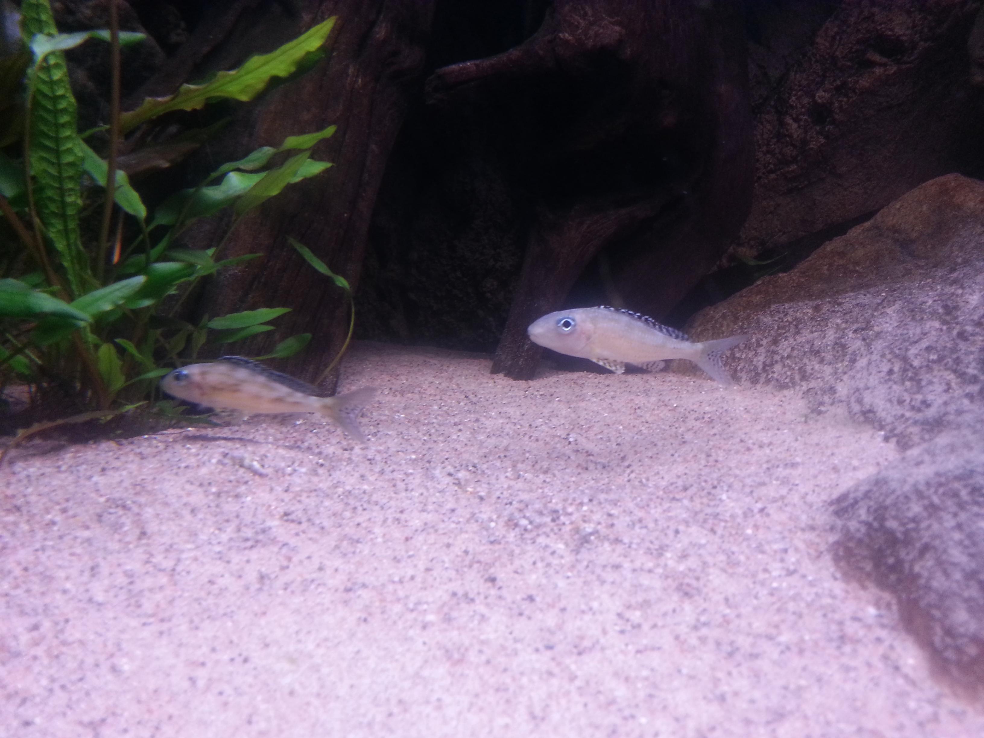 20131123_193525.jpg