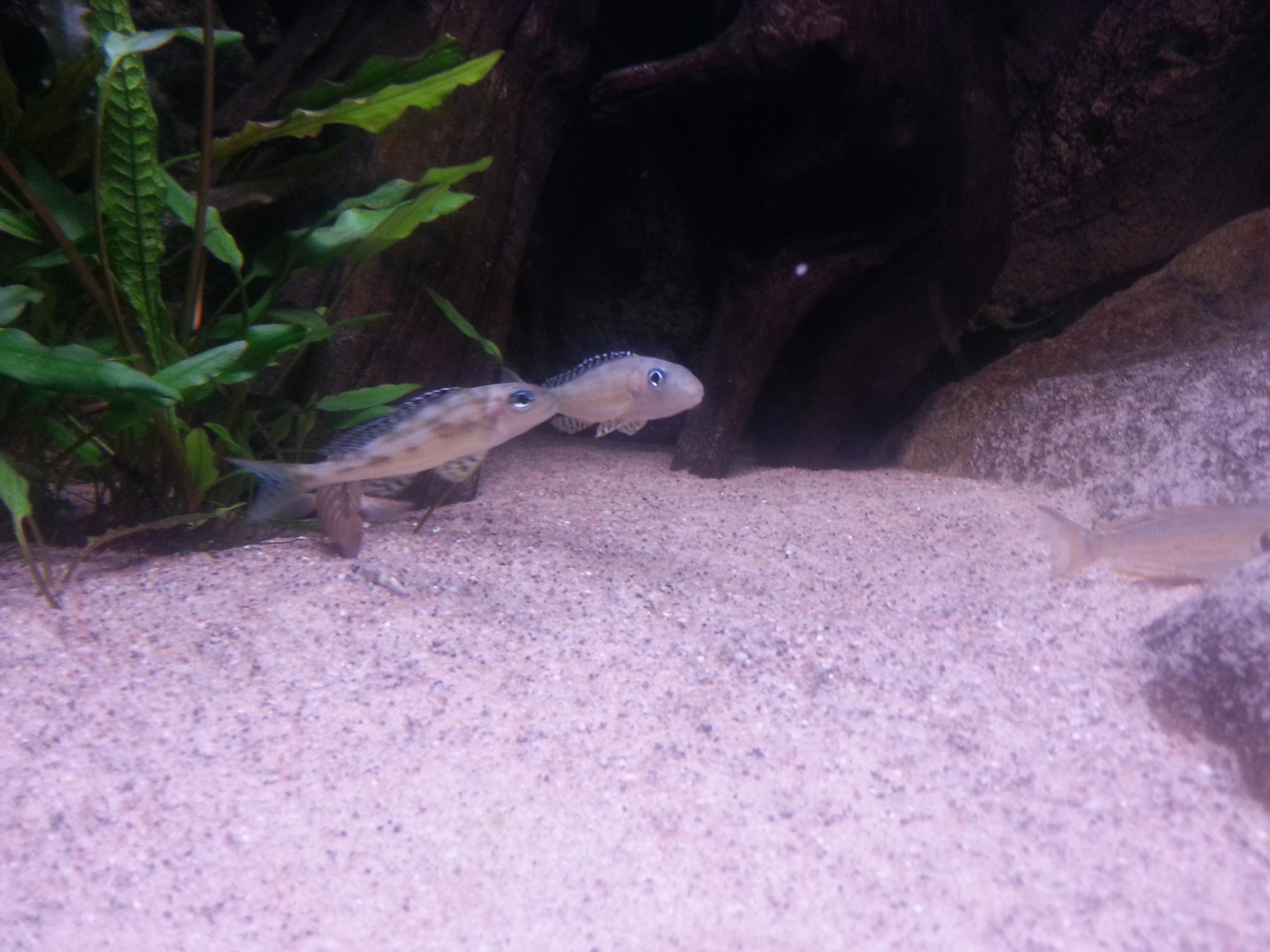 20131123_193534.jpg