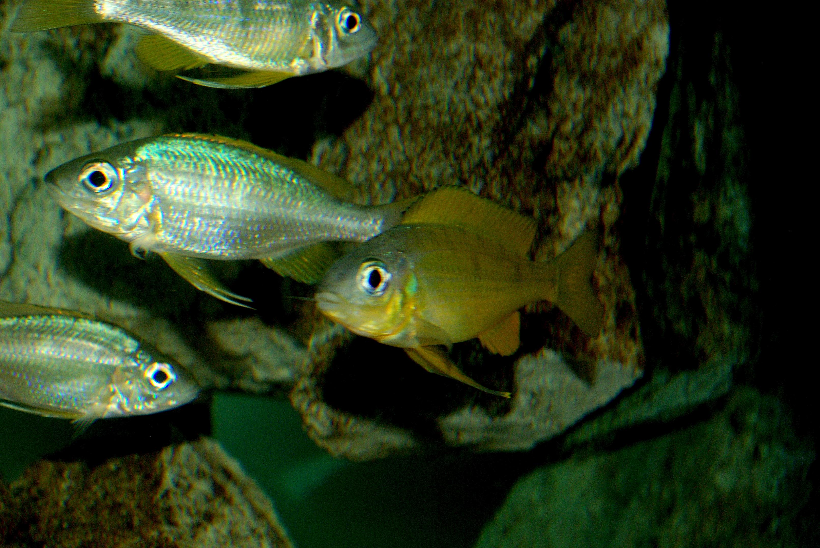 IMGP5479.jpg