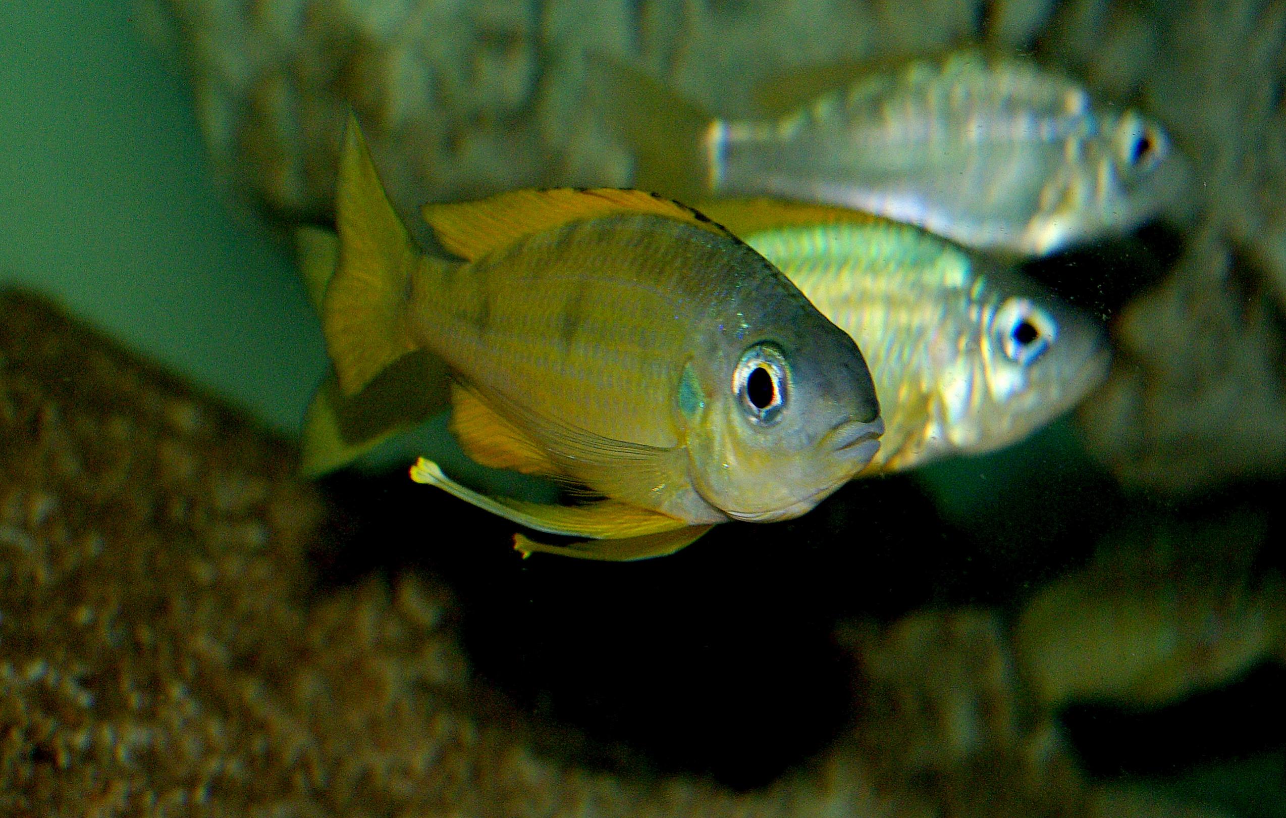 1-IMGP5573.jpg