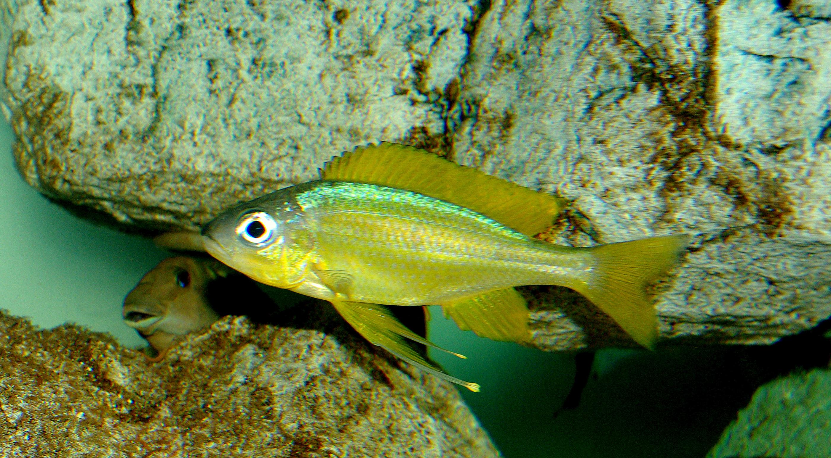 1-IMGP5558.jpg