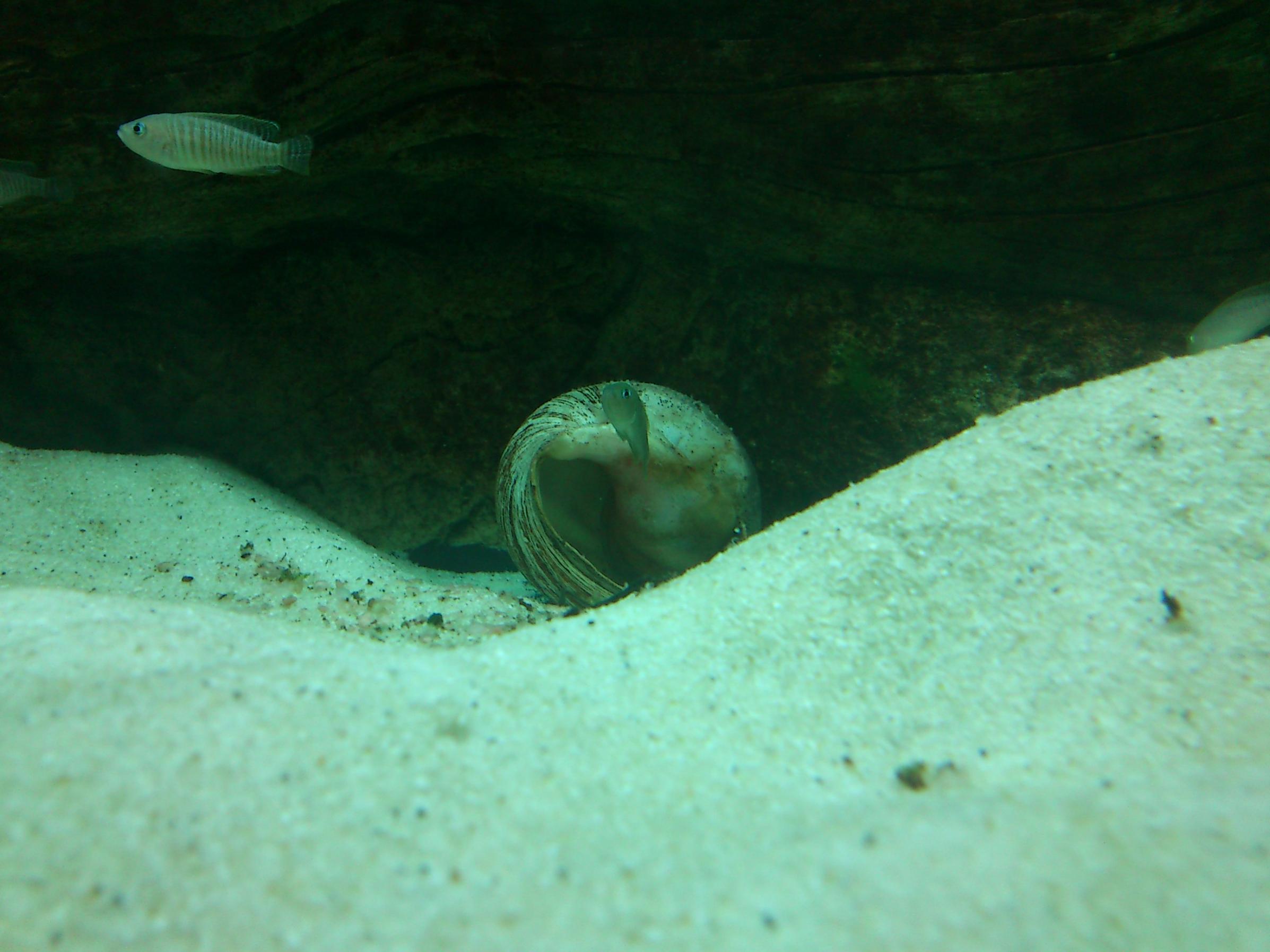 DSC_1006.jpg