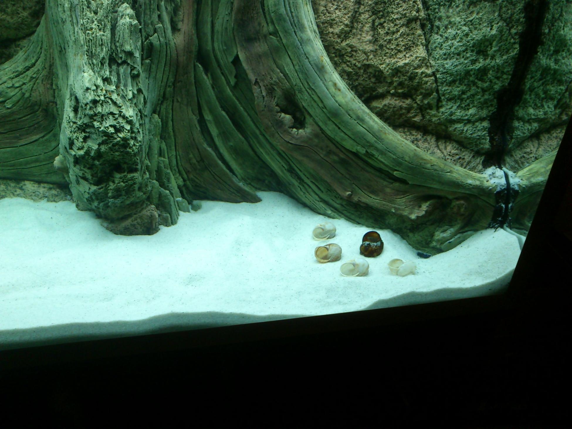DSC_0688.jpg