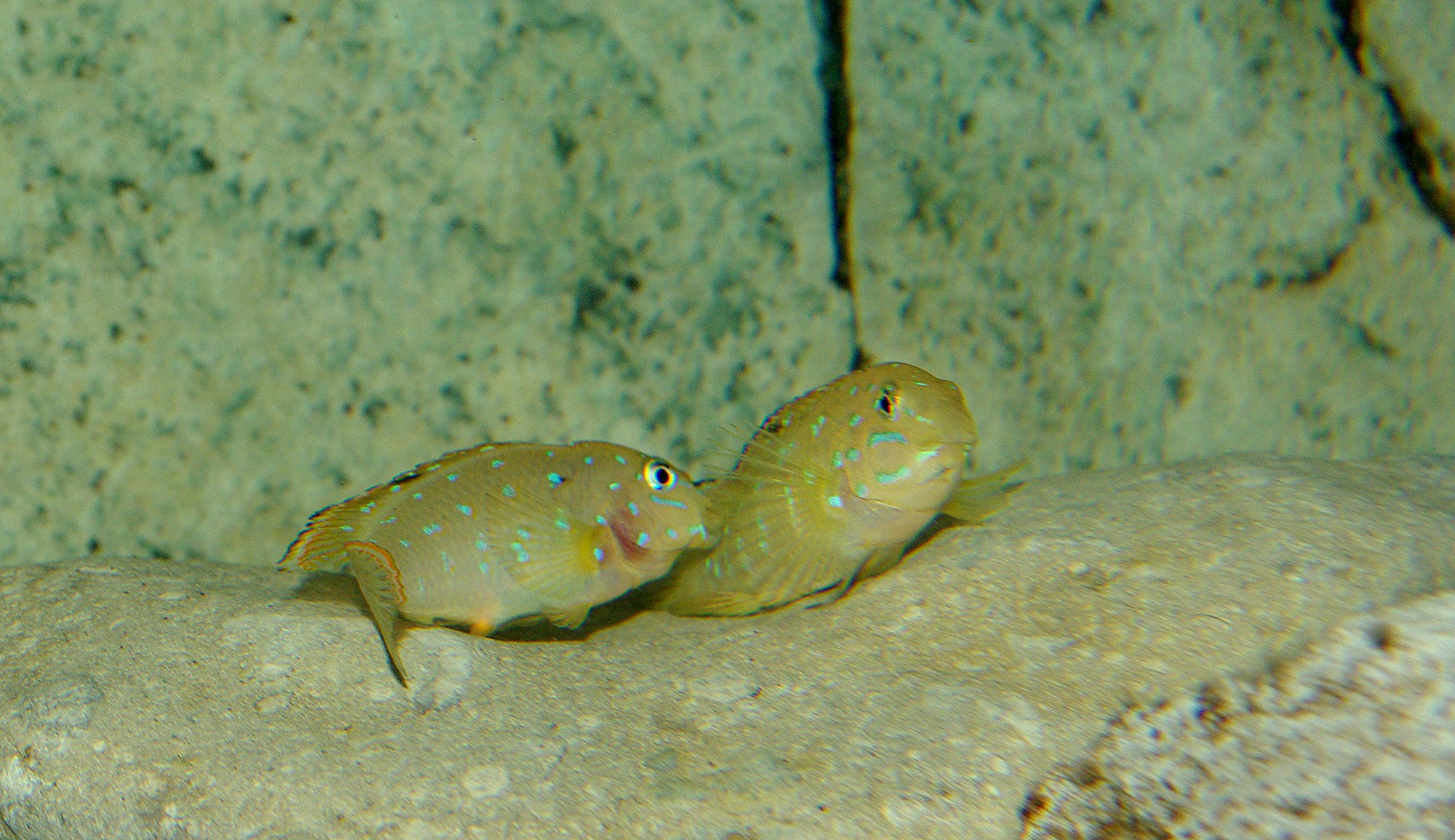 1-IMGP5916.jpg