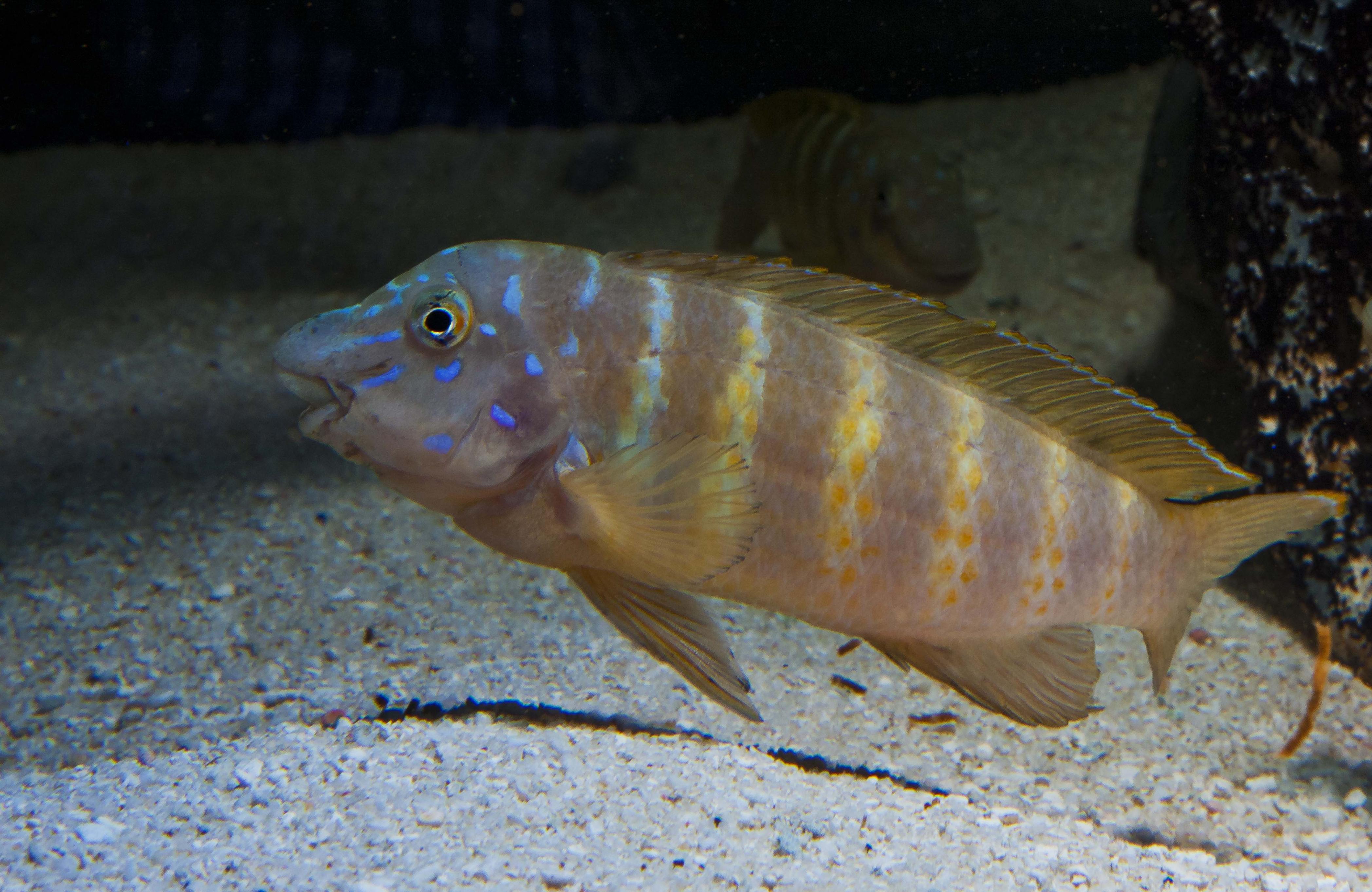 IMG_9689.jpg