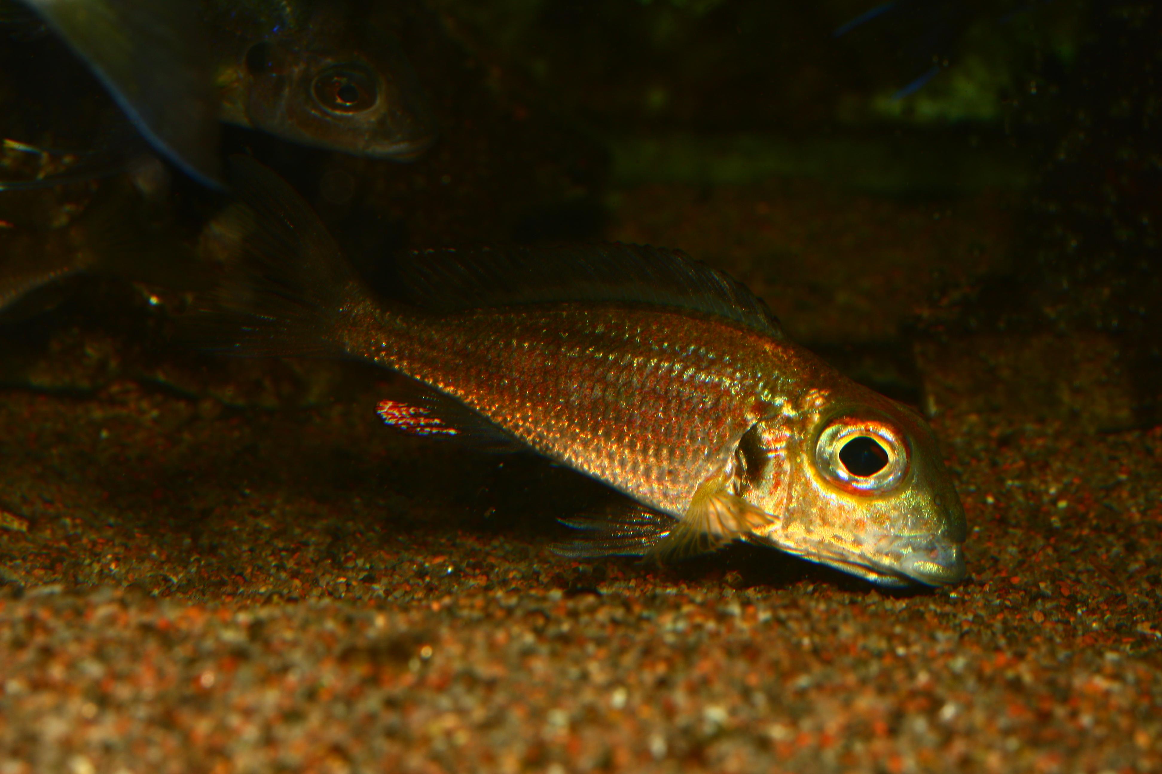 IMG_7391.jpg