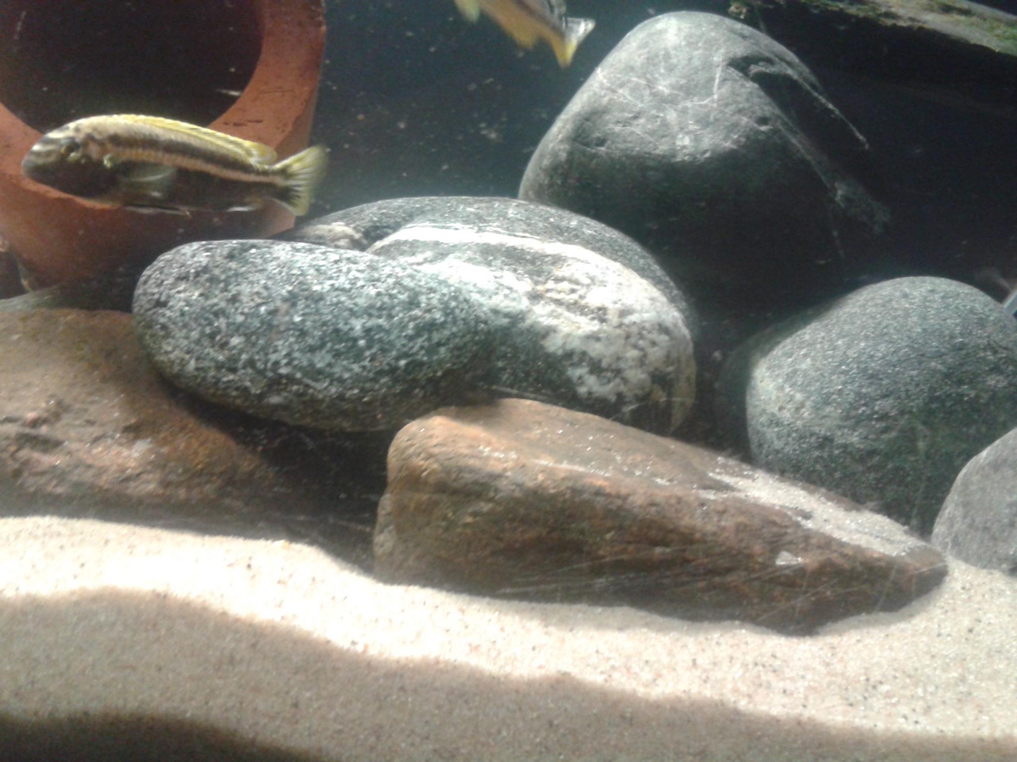 20140421_212412.jpg
