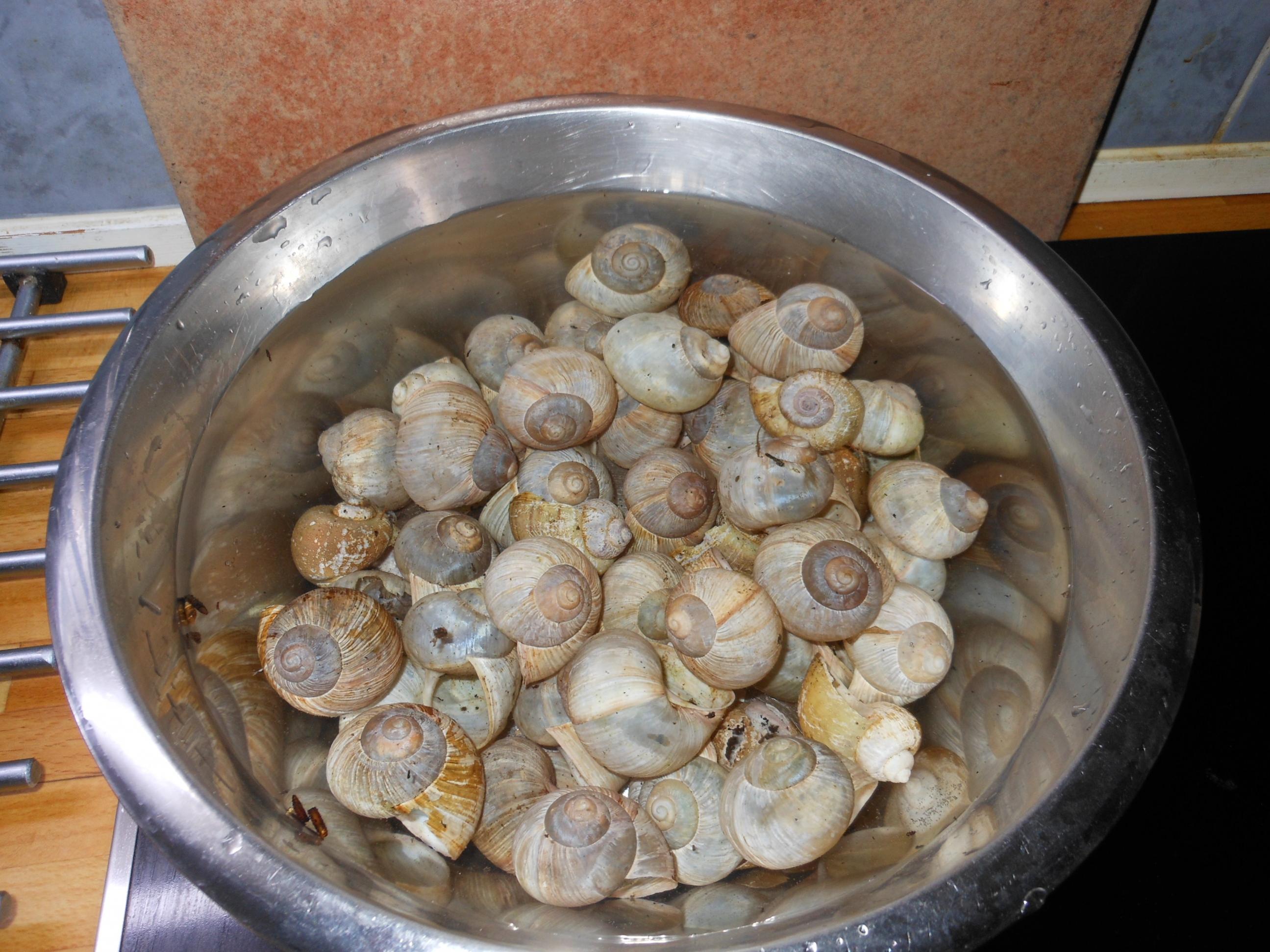 DSCN2391.jpg