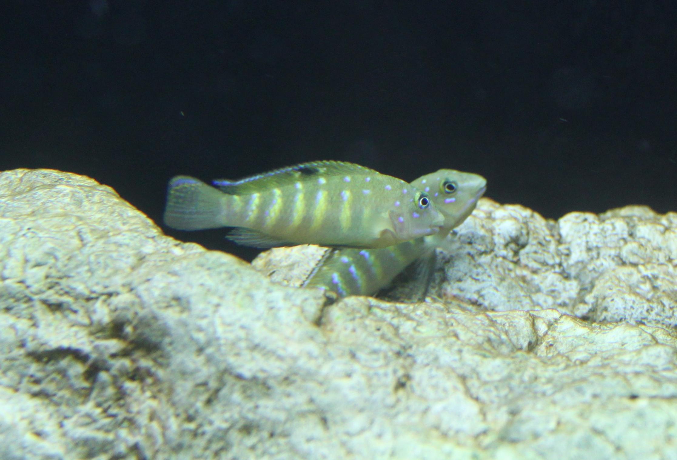 IMG_3332.jpg
