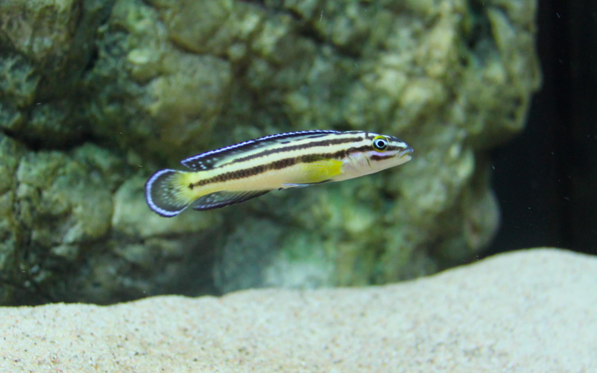 IMG_3318.jpg