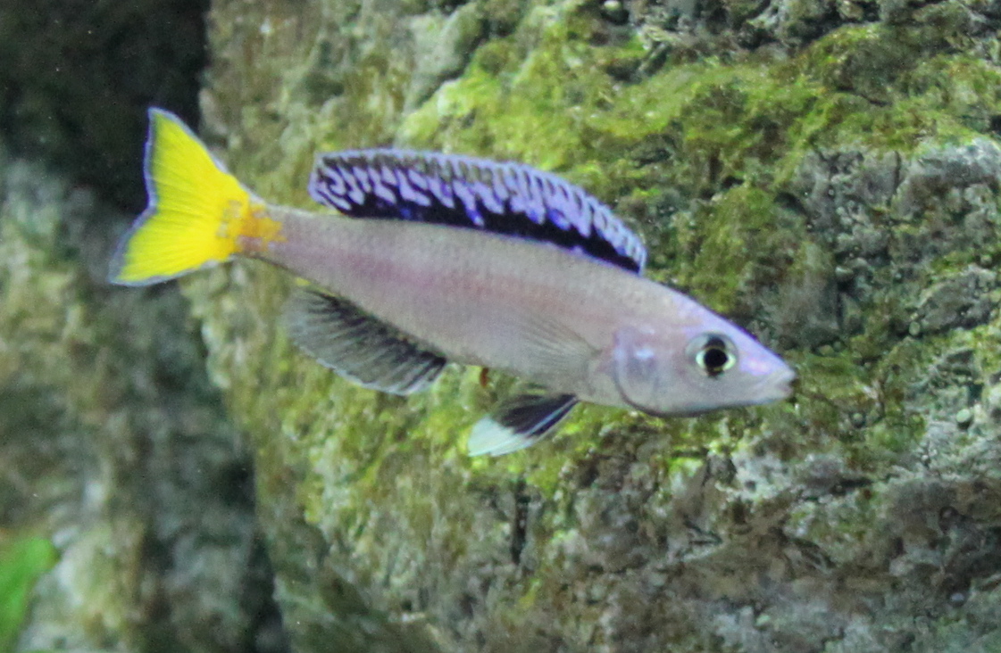 IMG_3416.JPG