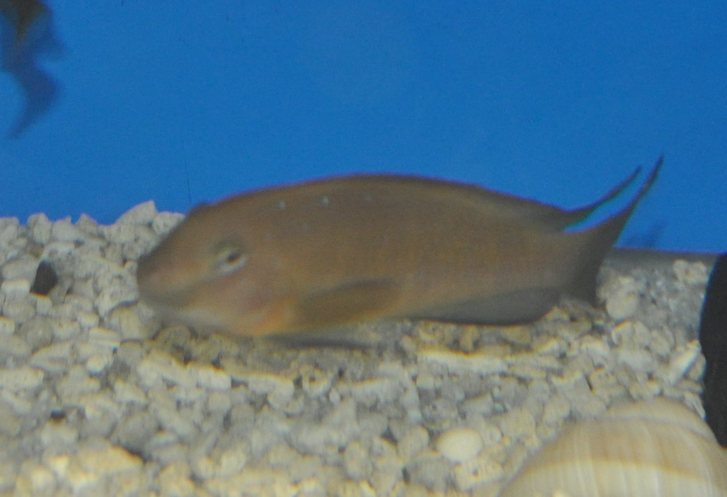 DSC_0986.JPG