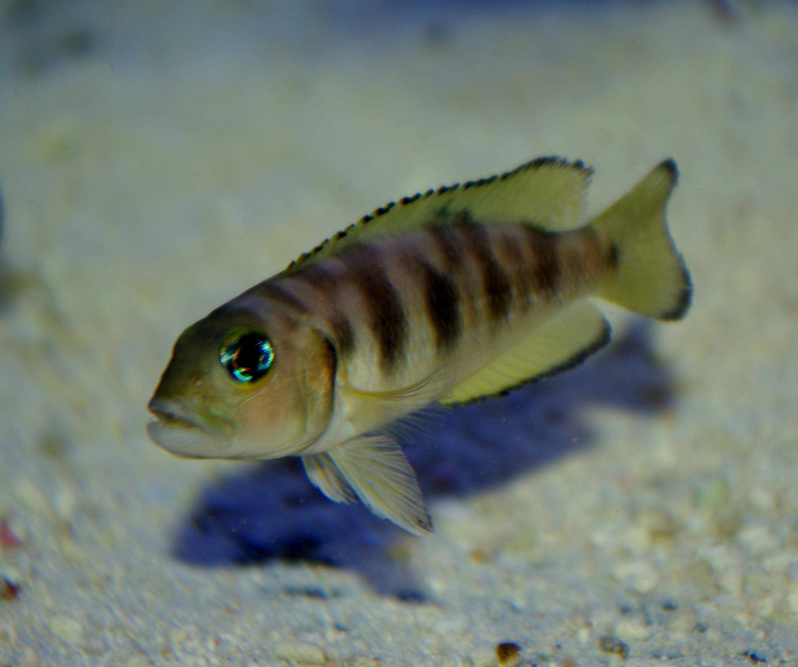 IMGP5602.jpg