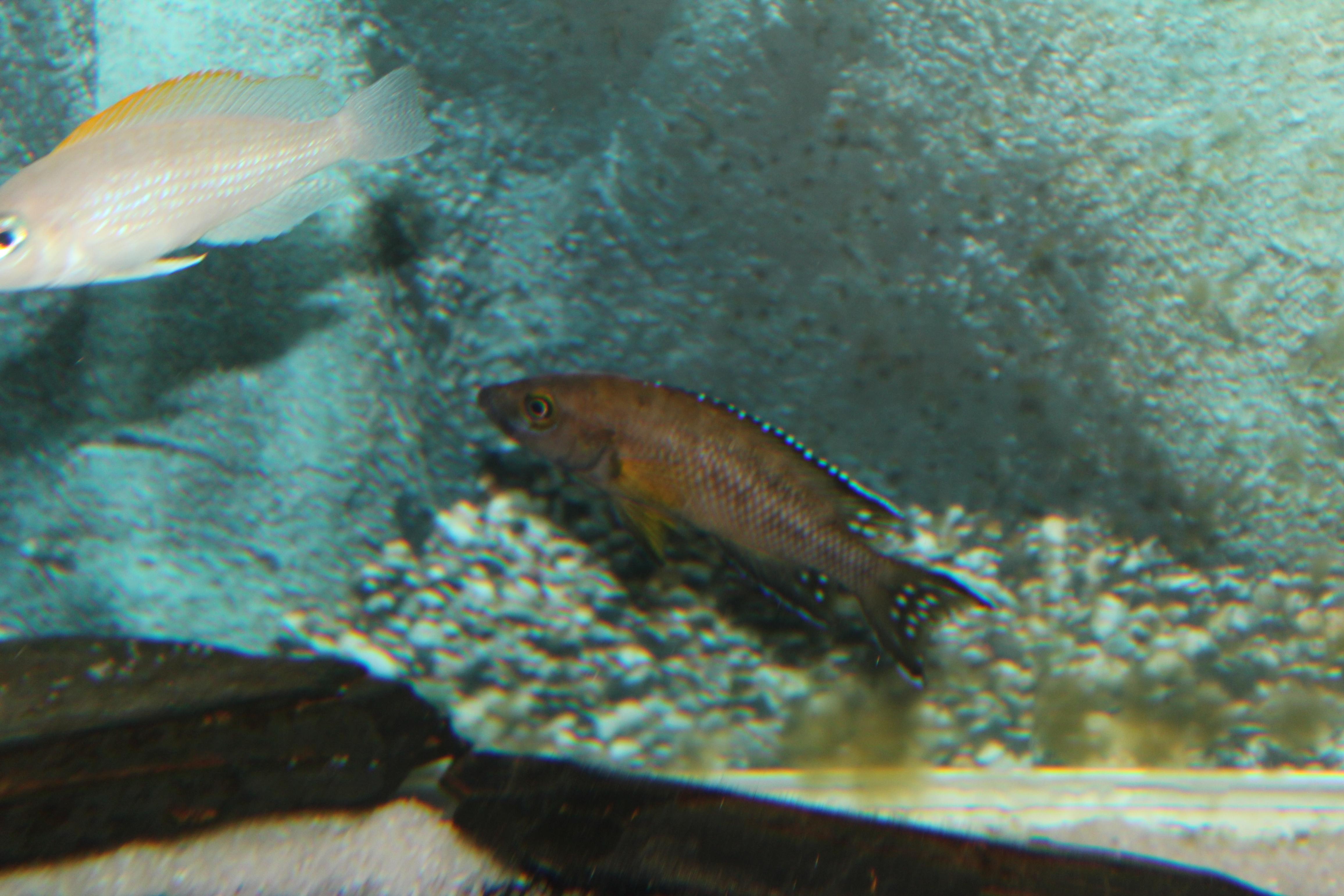 IMG_0409.jpg