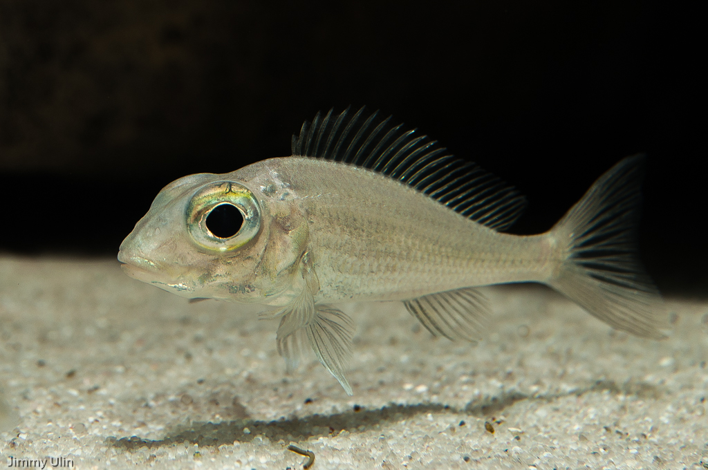 DSC_0182.jpg