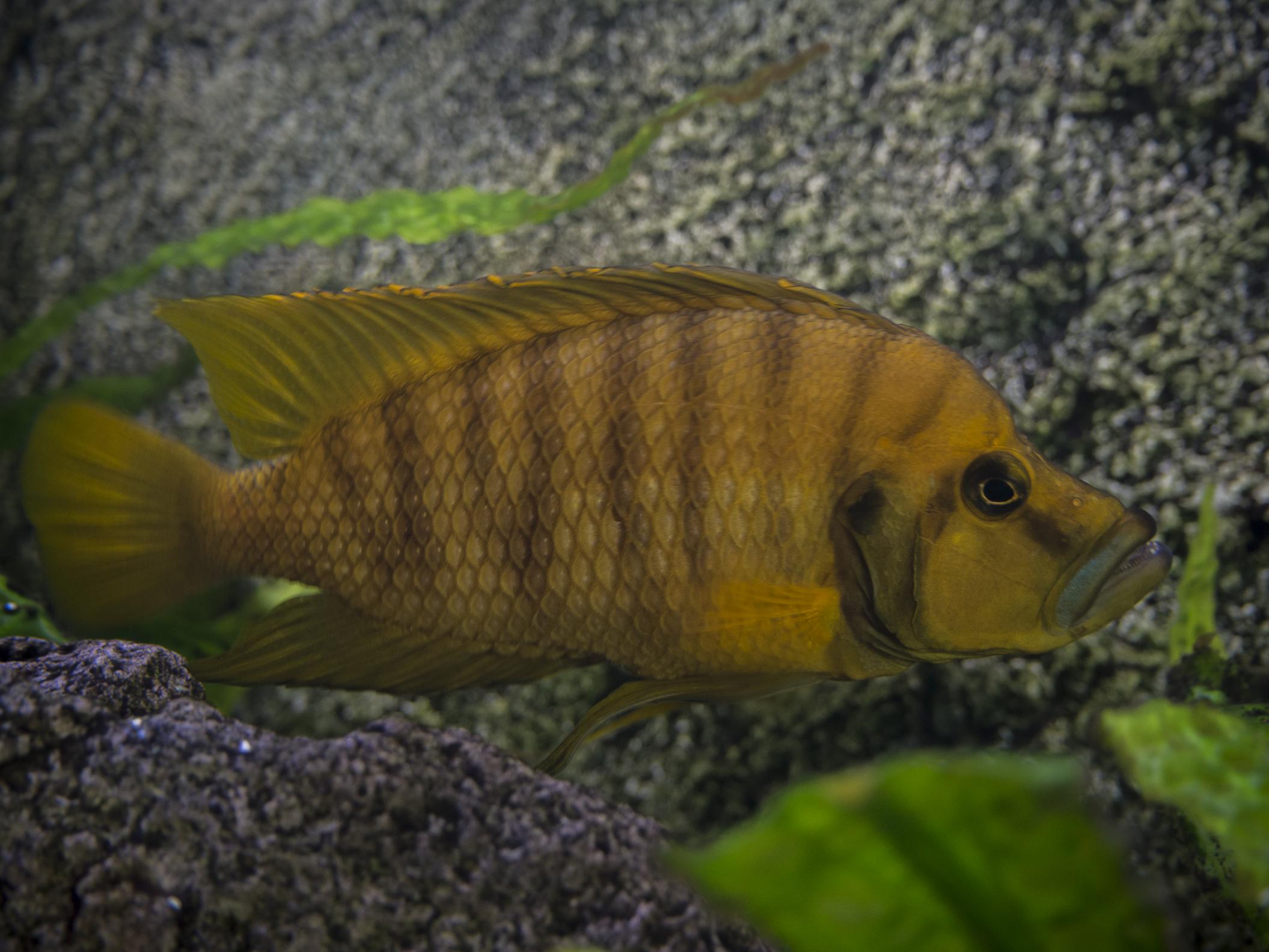 20140818-P8180181.jpg