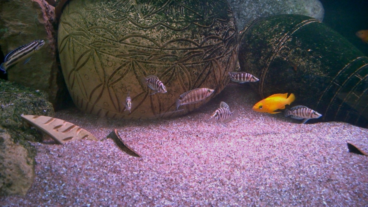 WP_20150401_001.jpg