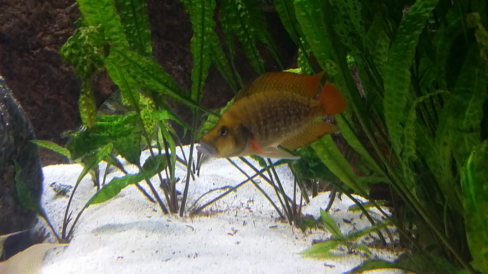 20150530_180532.jpg