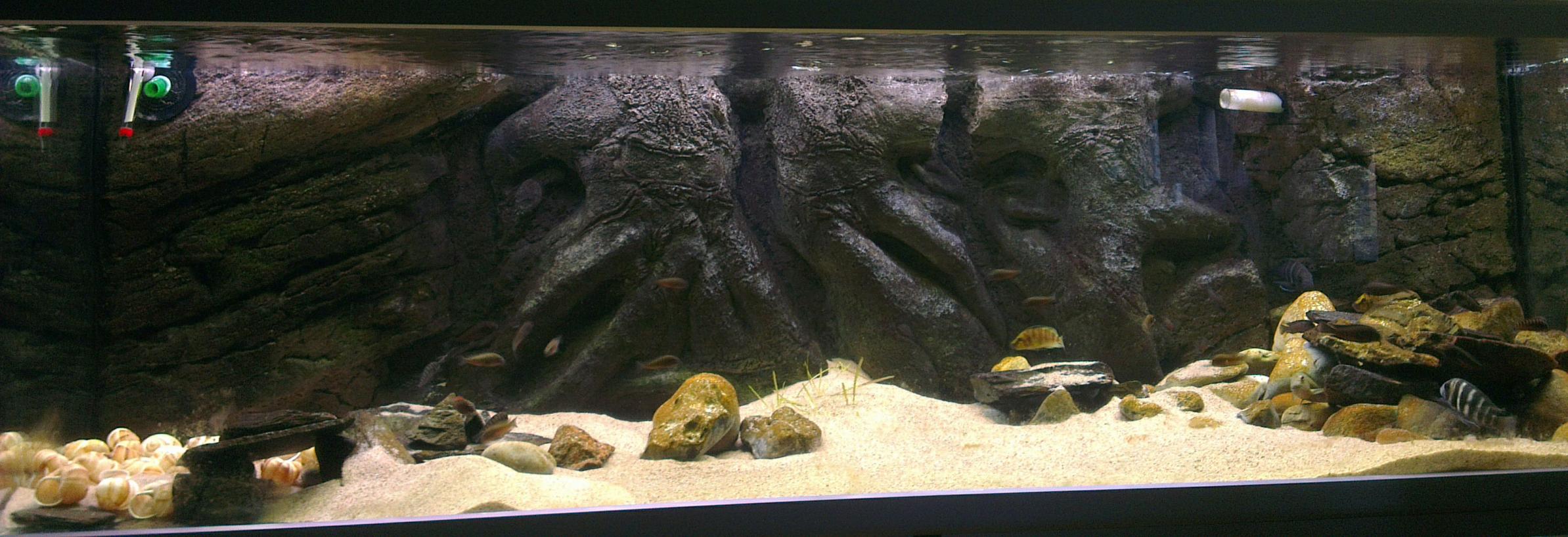 IMAG1103_1.jpg