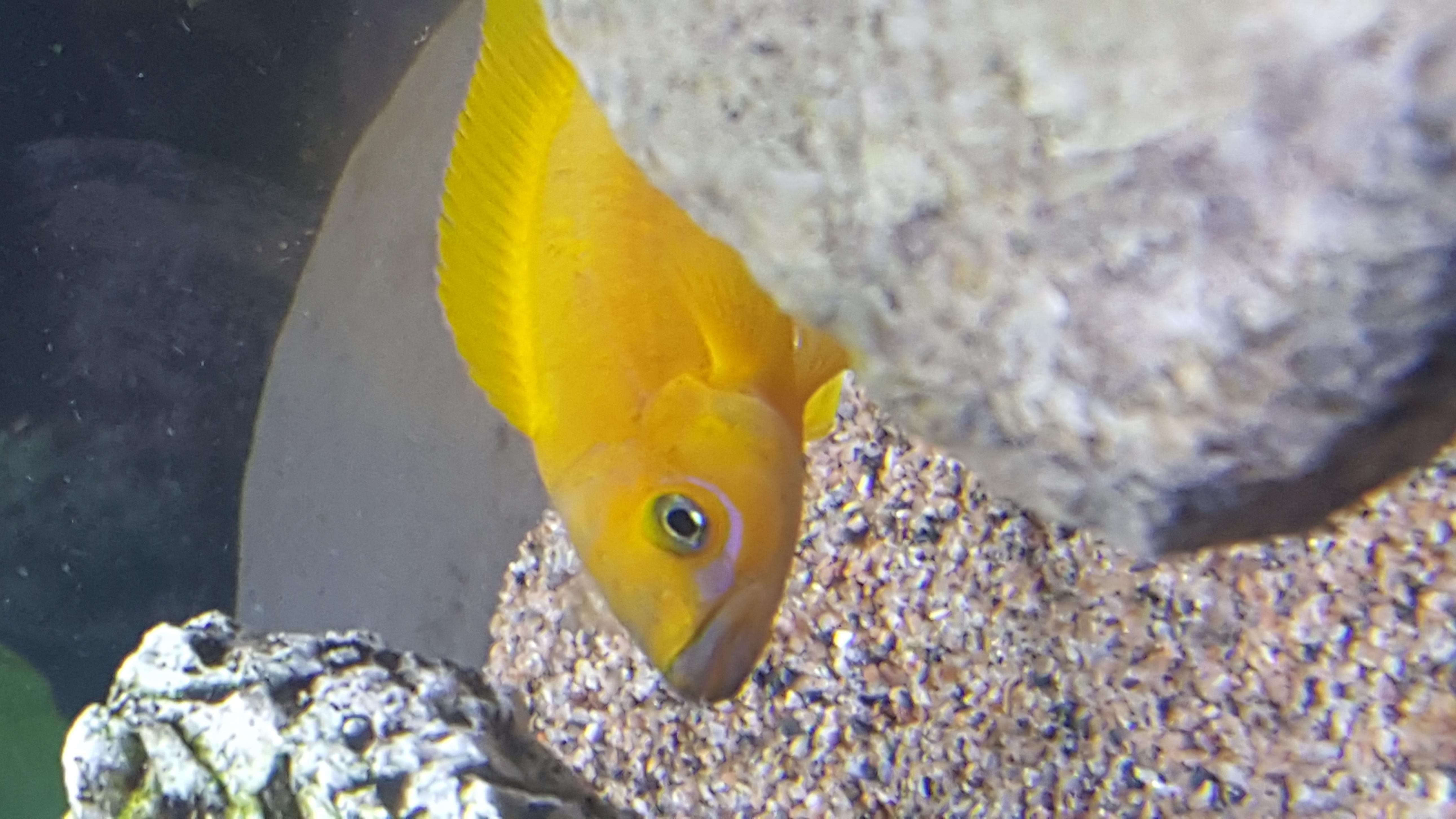 20160820_212611.jpg