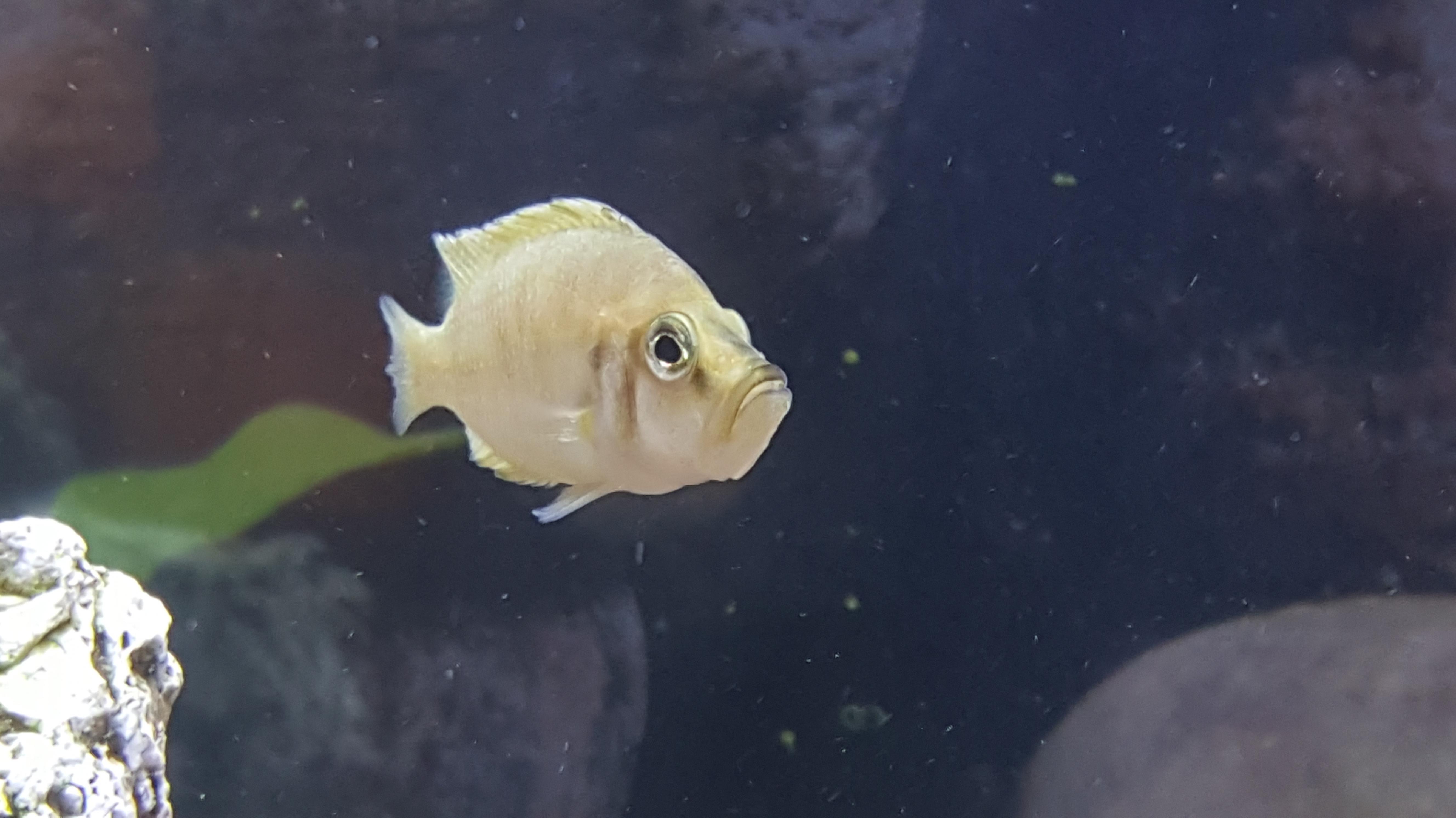 20160812_220349.jpg