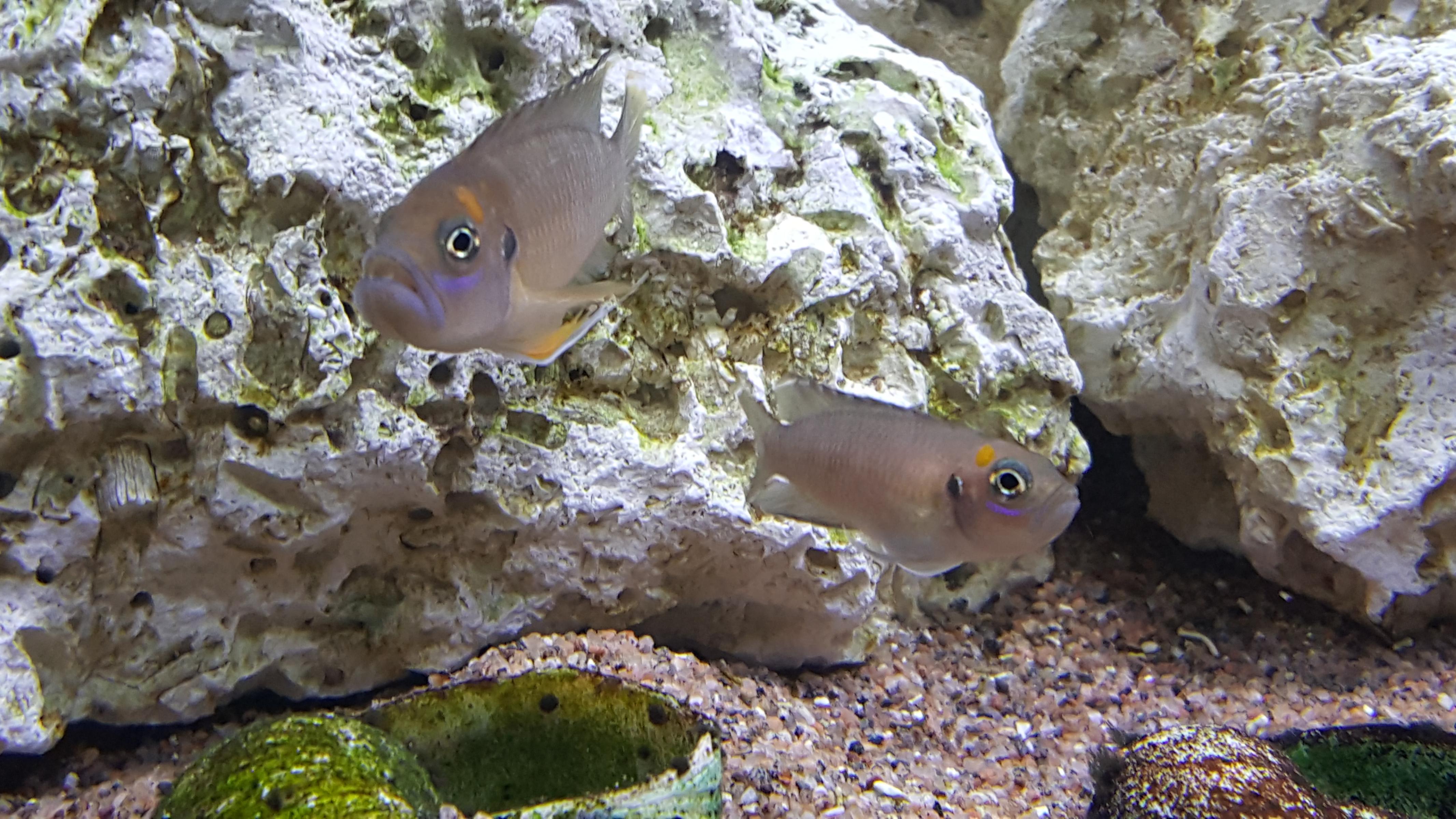 20160811_222724.jpg