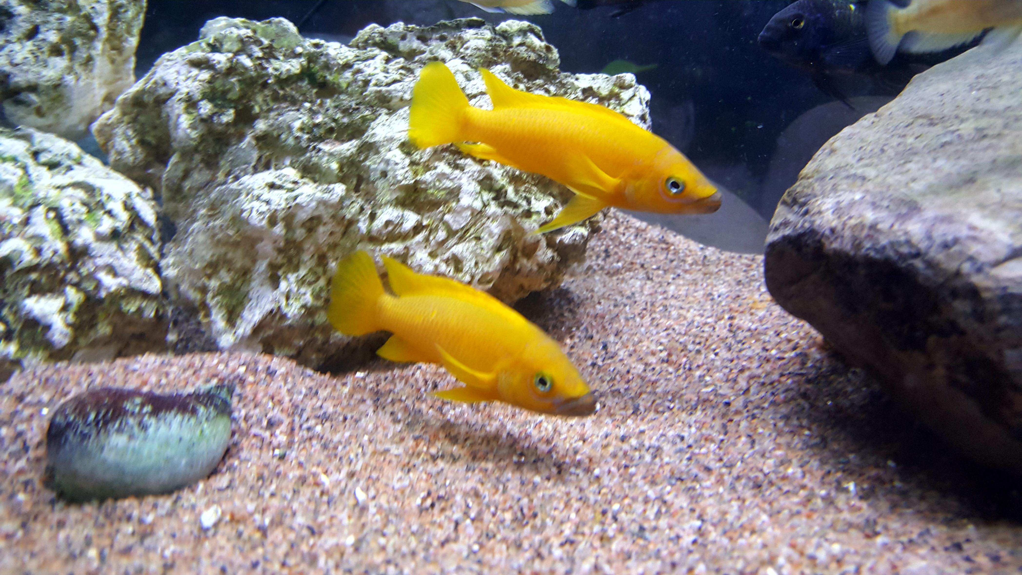 20160820_212041.jpg