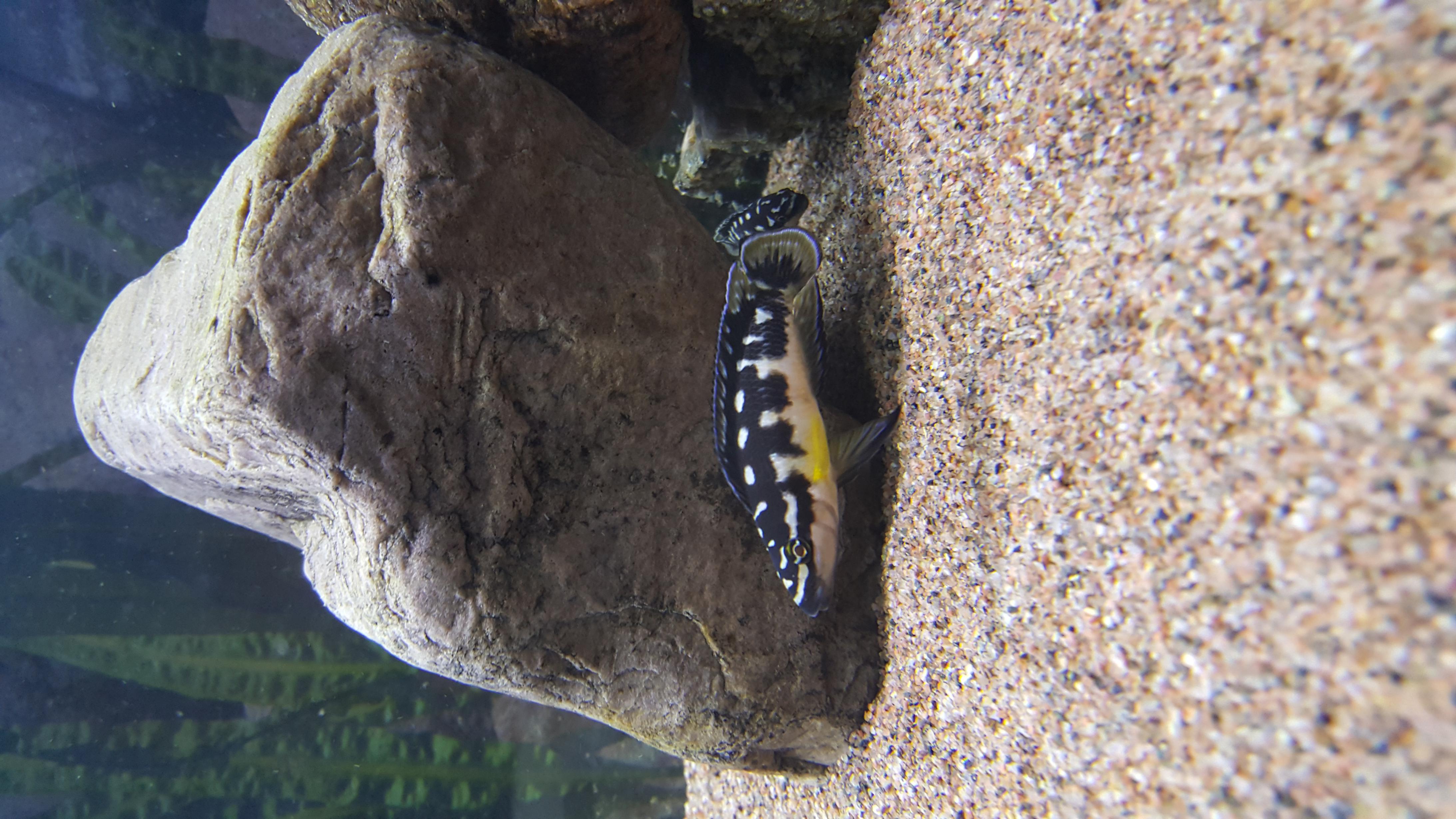 20160810_232212.jpg
