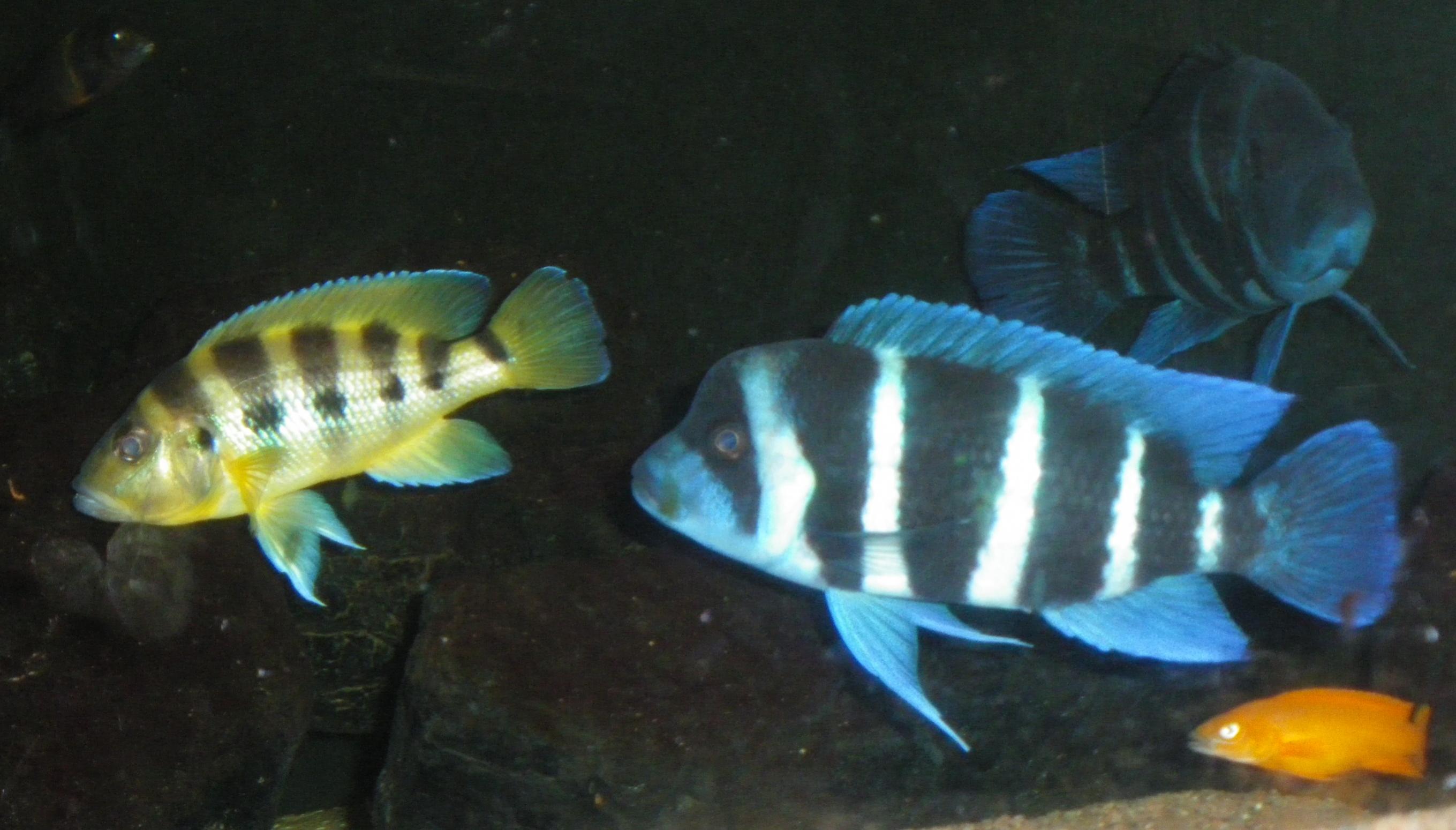 2013-05-17 019.jpg