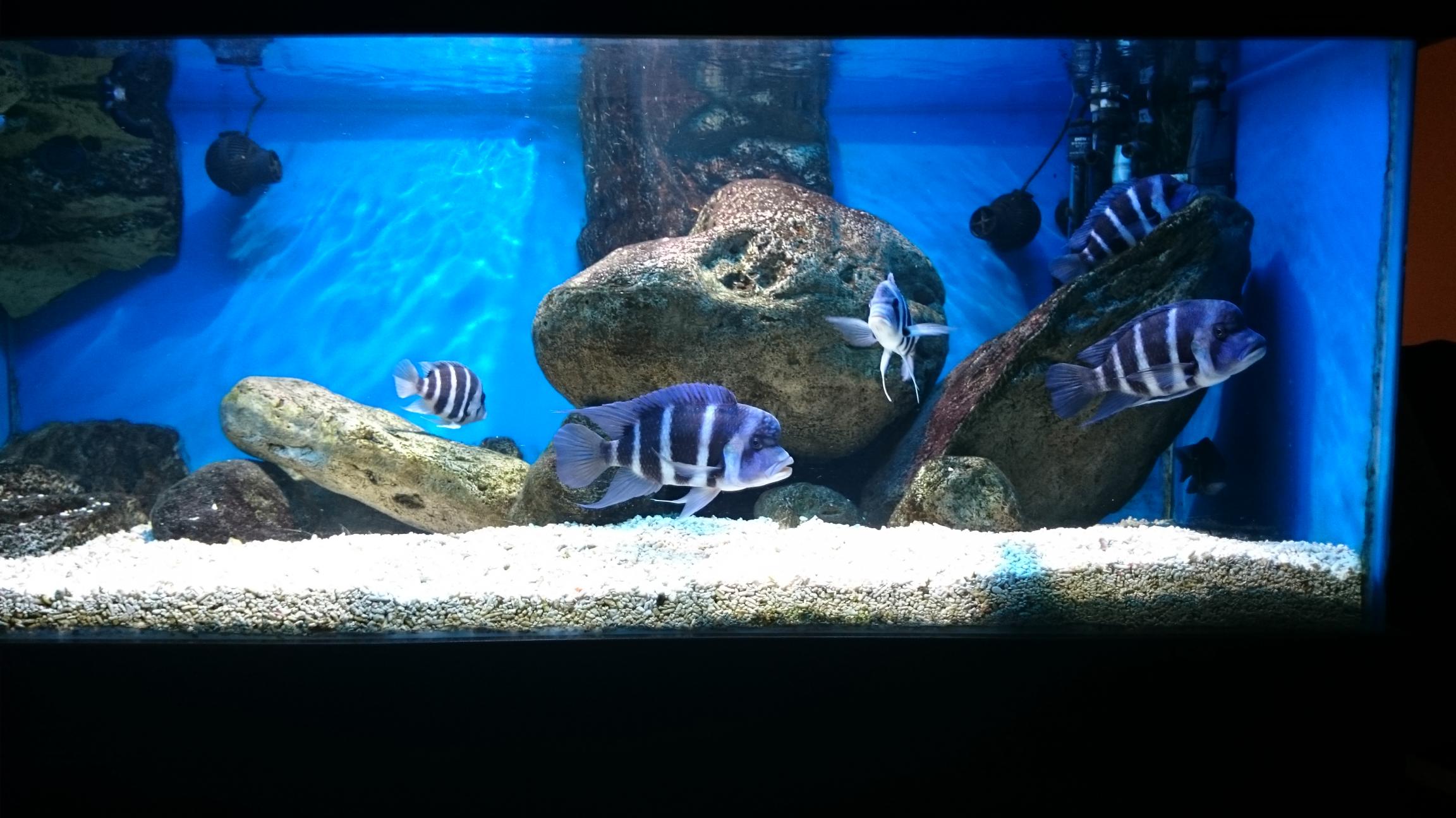 DSC_2616.jpg
