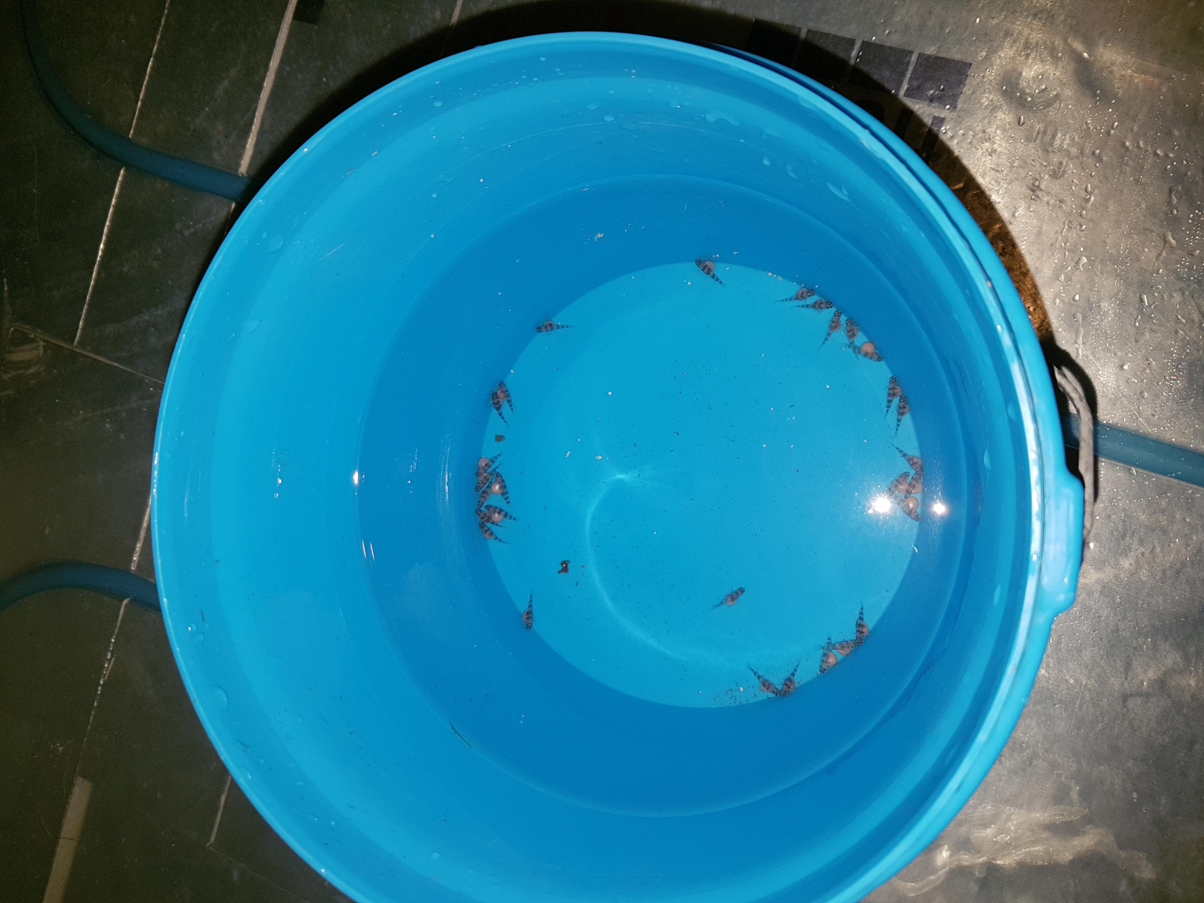 20161105_224843.jpg