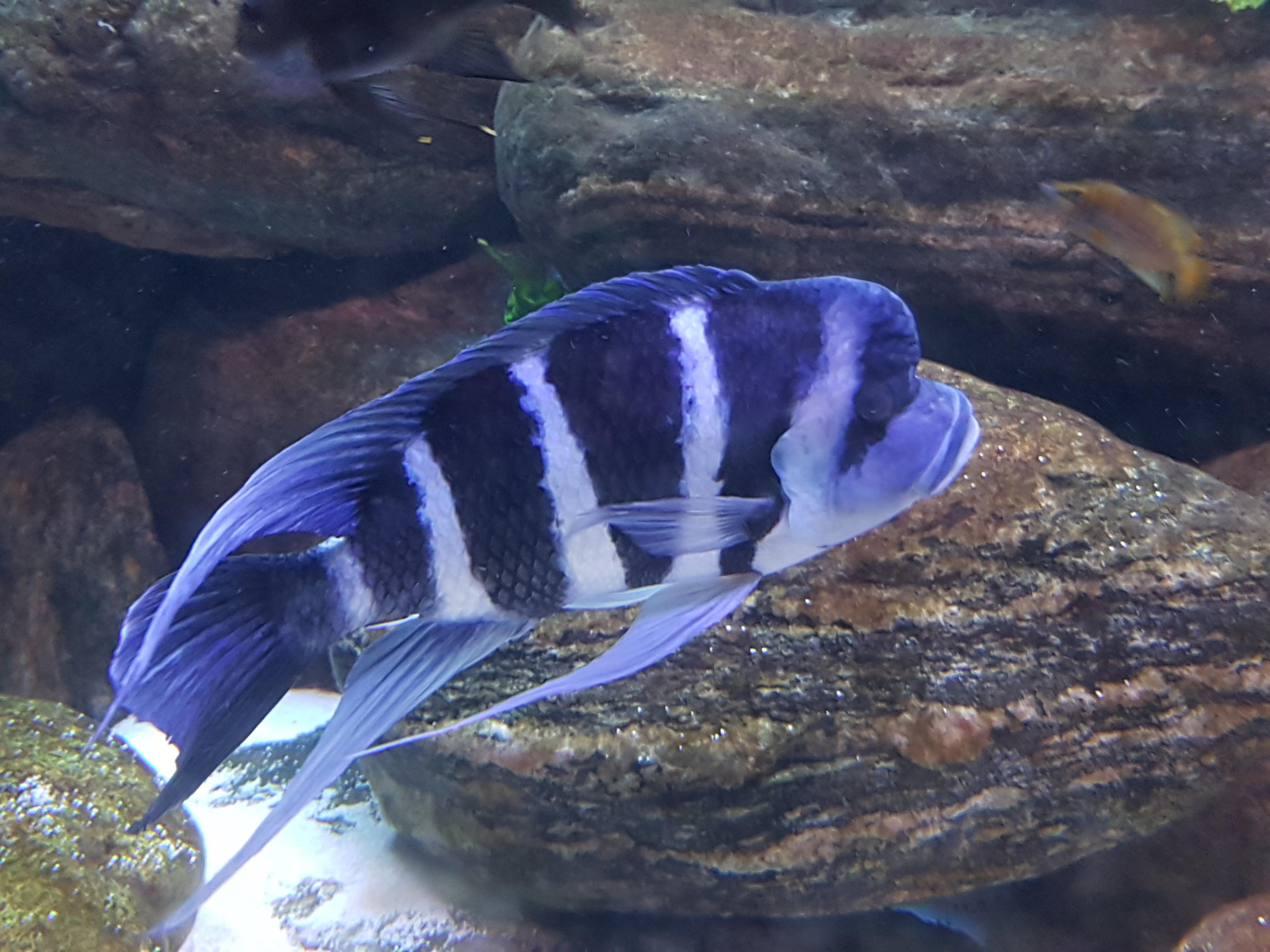 20161216_163212.jpg