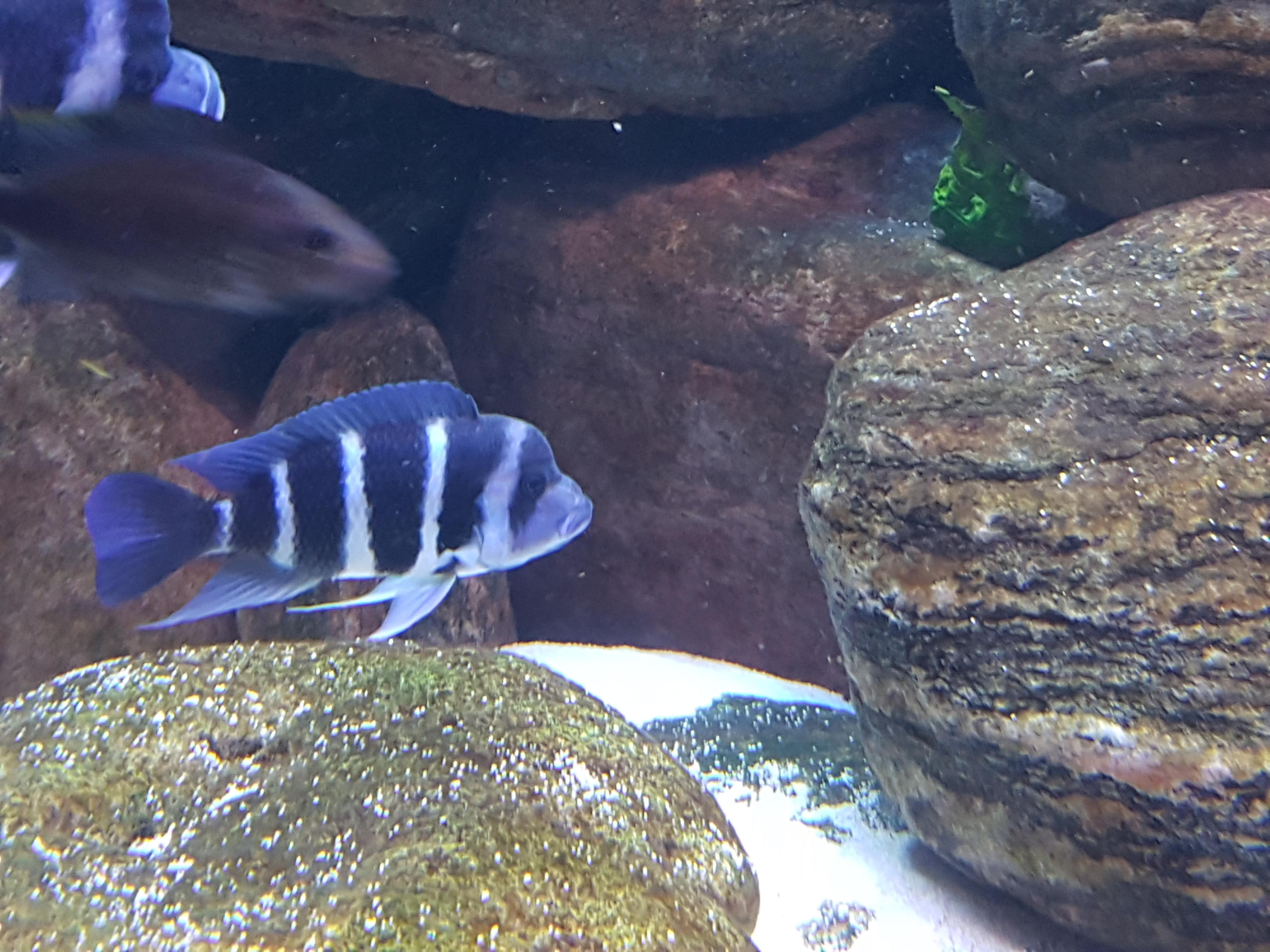20161216_163137.jpg