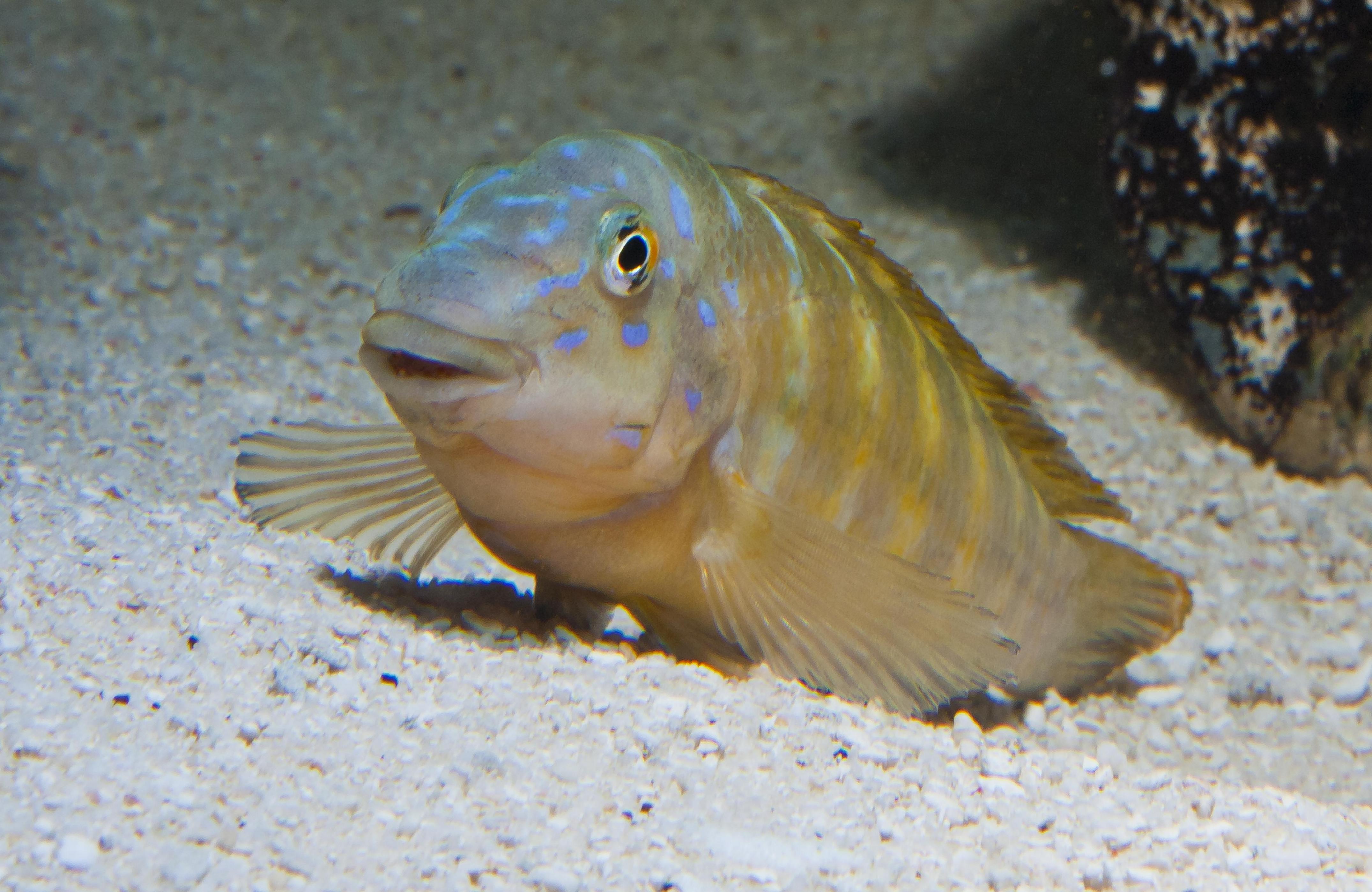 IMG_9687.jpg