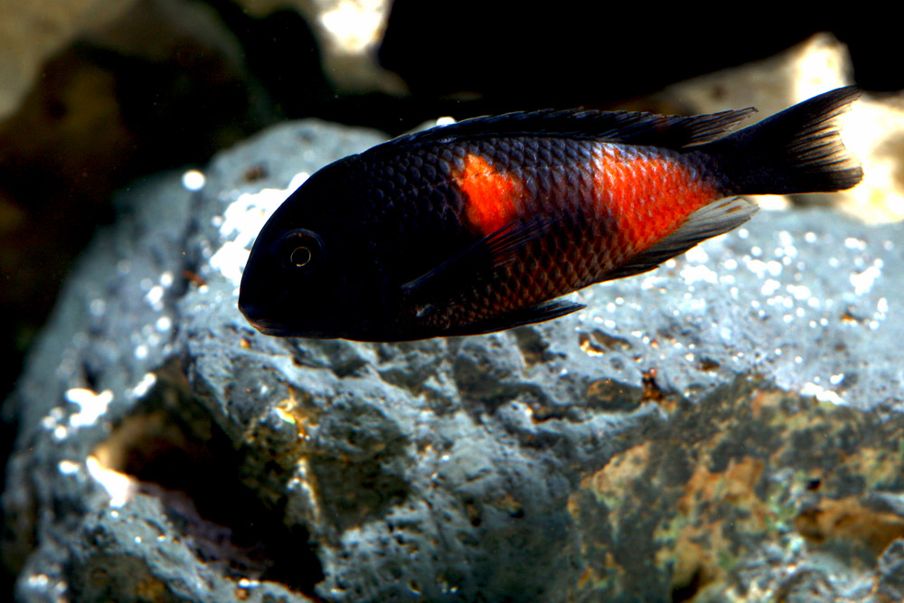 IMG_6840 (kopia).jpg