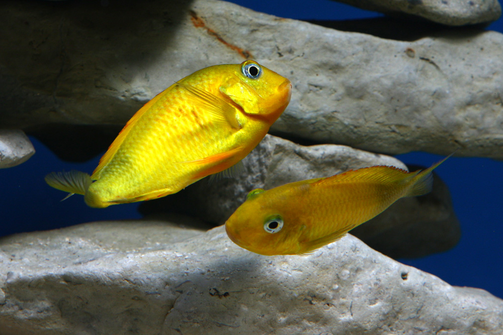 IMG_6941 (kopia).jpg
