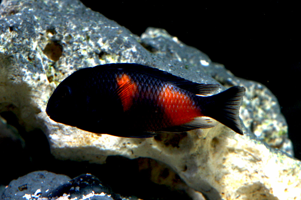 IMG_6869 (kopia).jpg