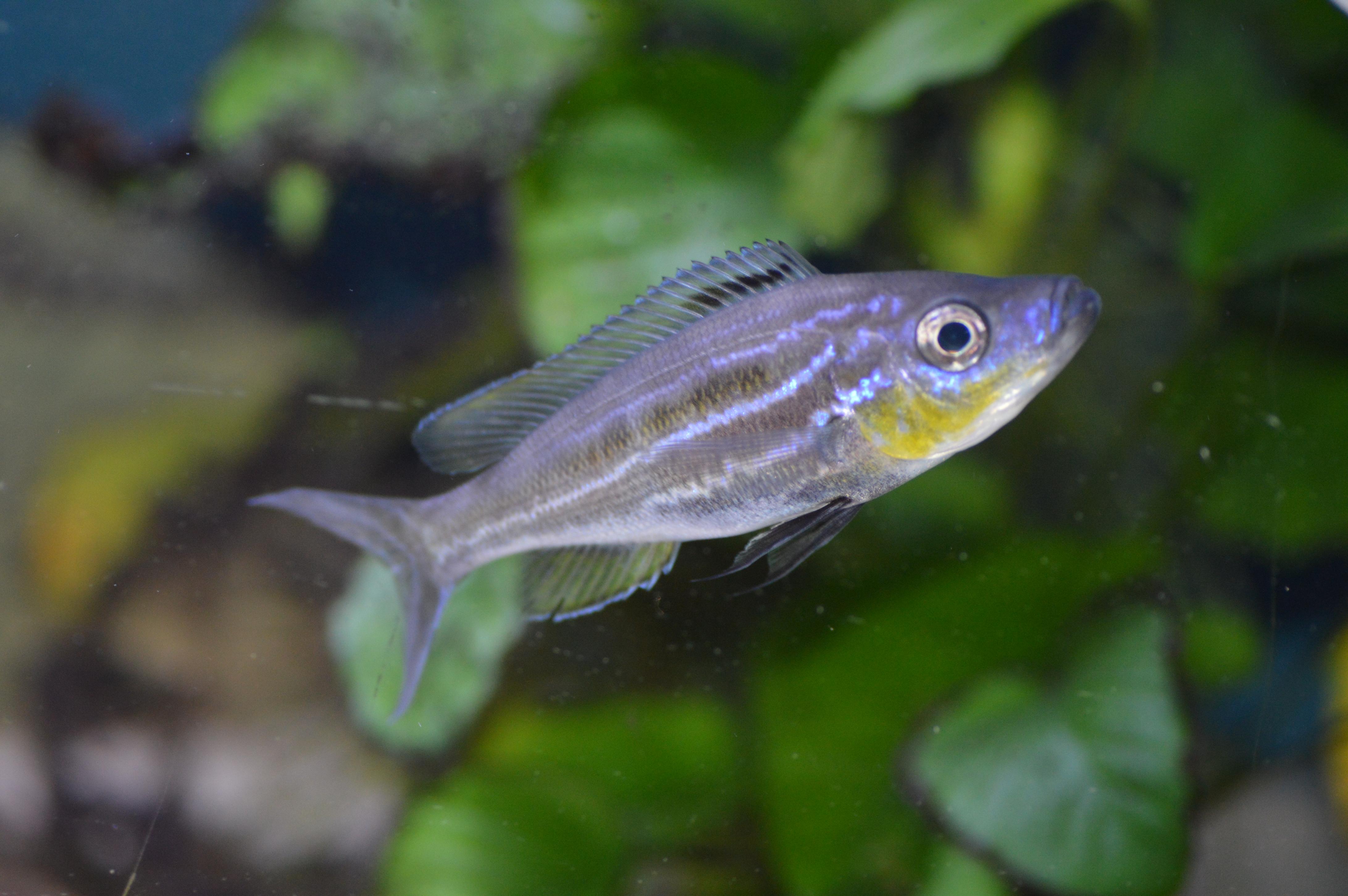 DSC_1617.jpg