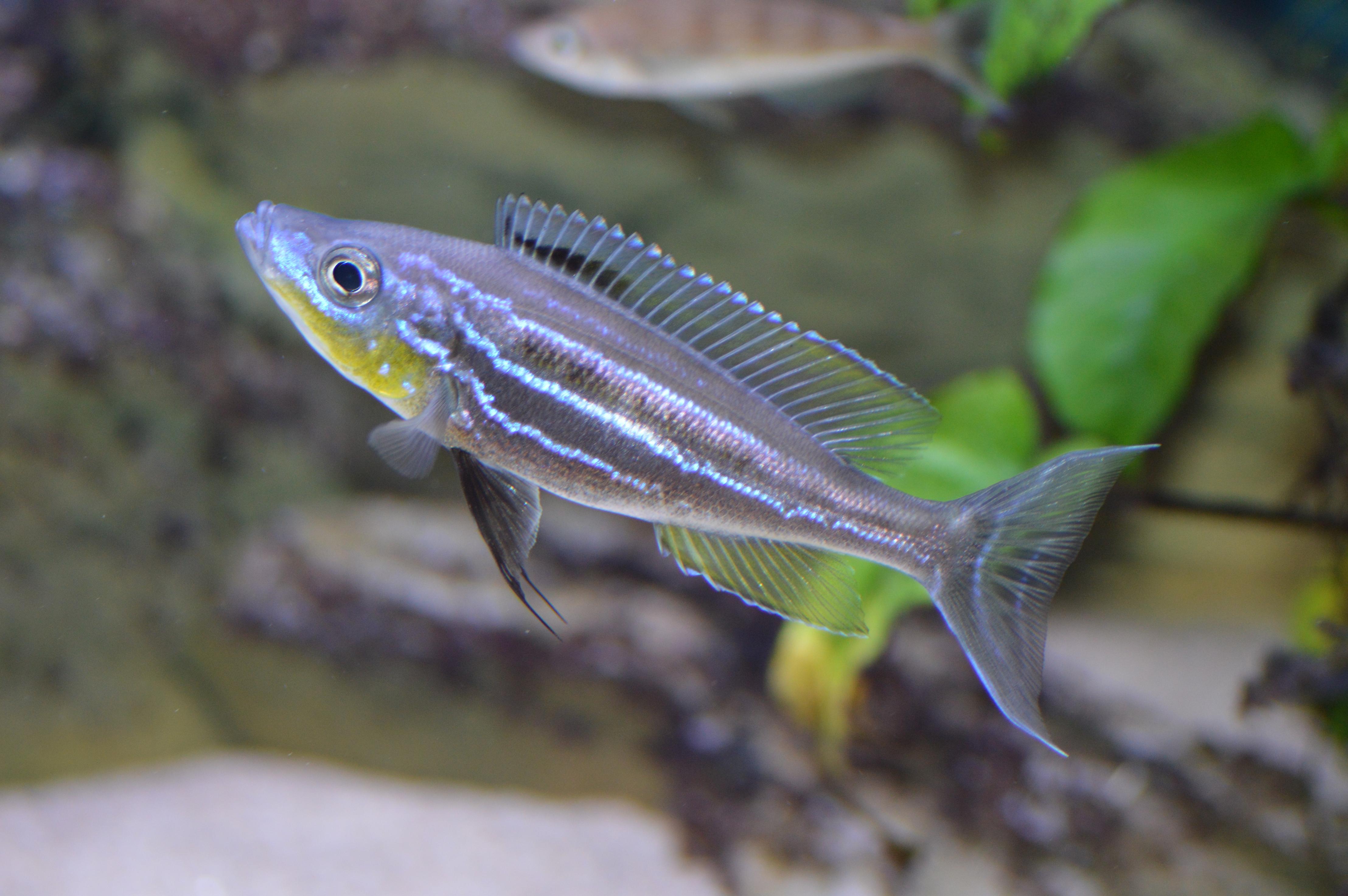 DSC_1533.jpg