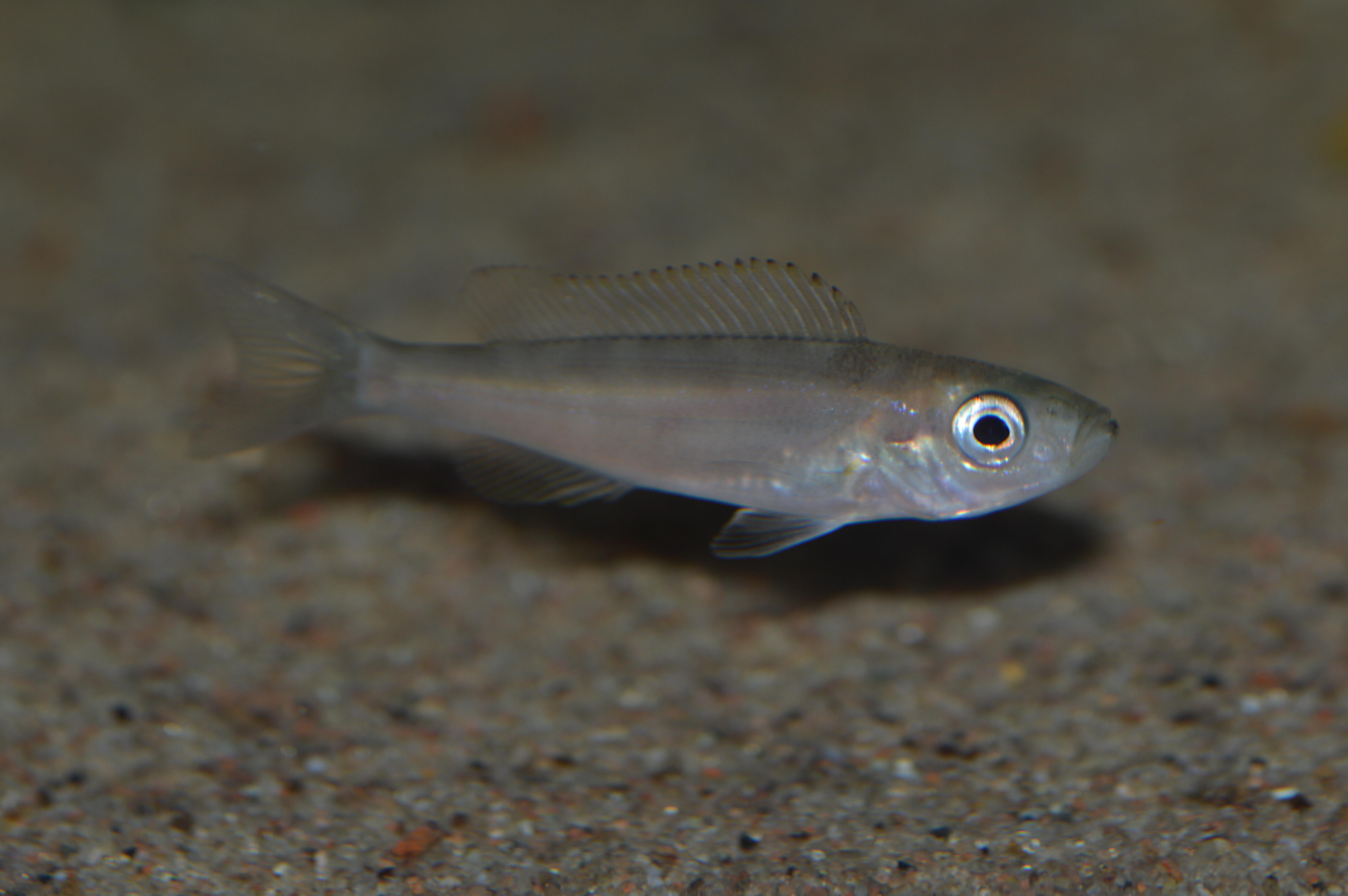 DSC_0143.jpg