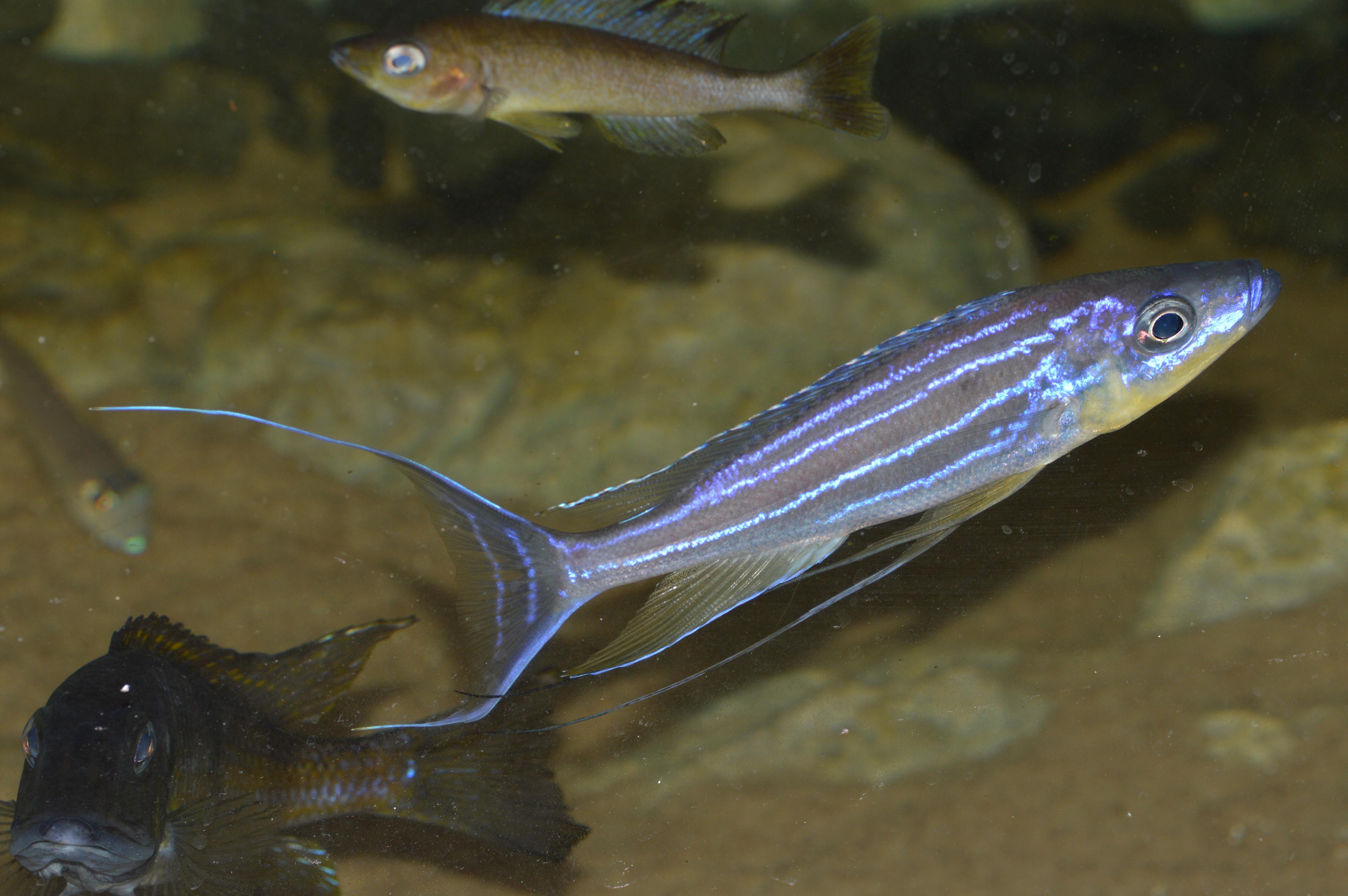 DSC_1107.jpg