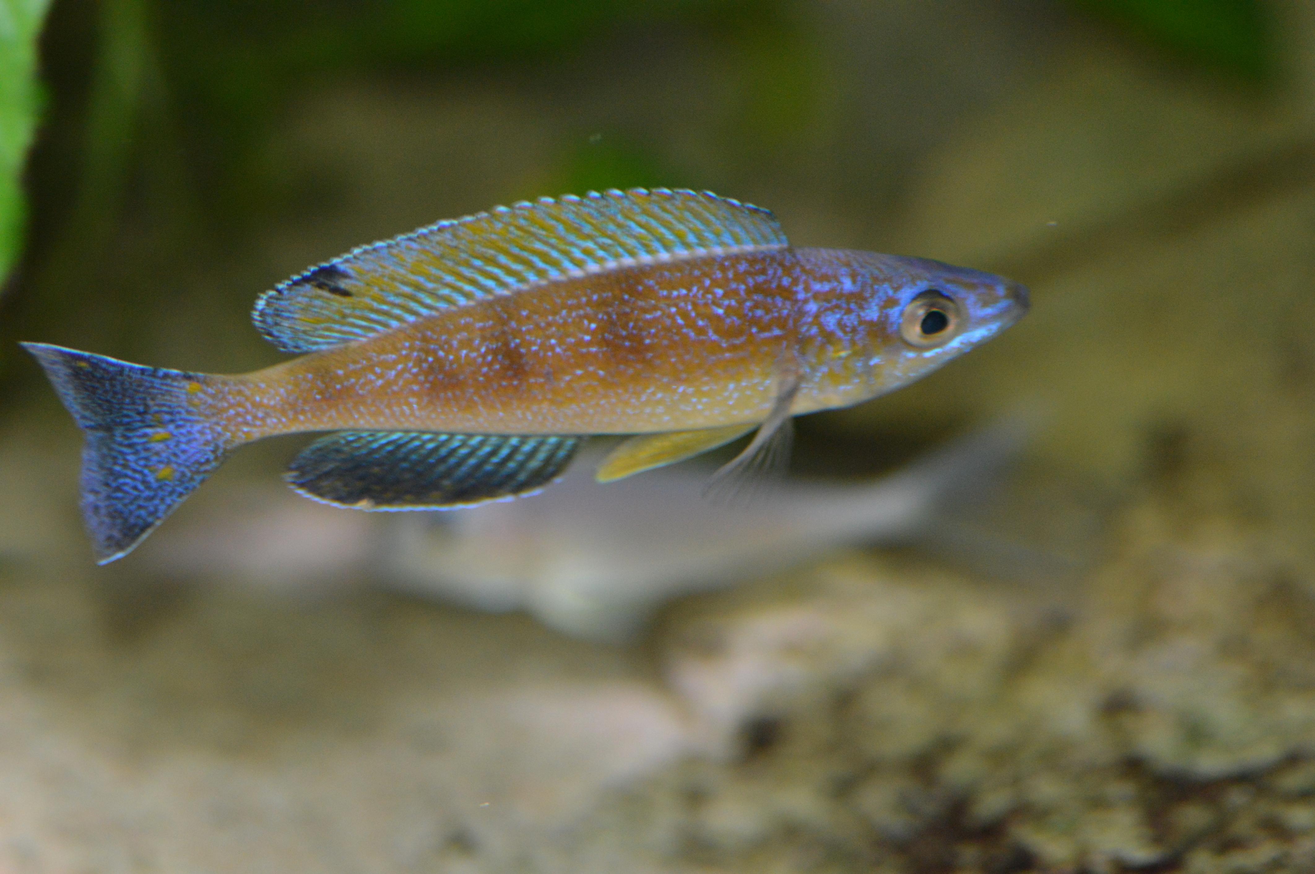 DSC_1533.jpg
