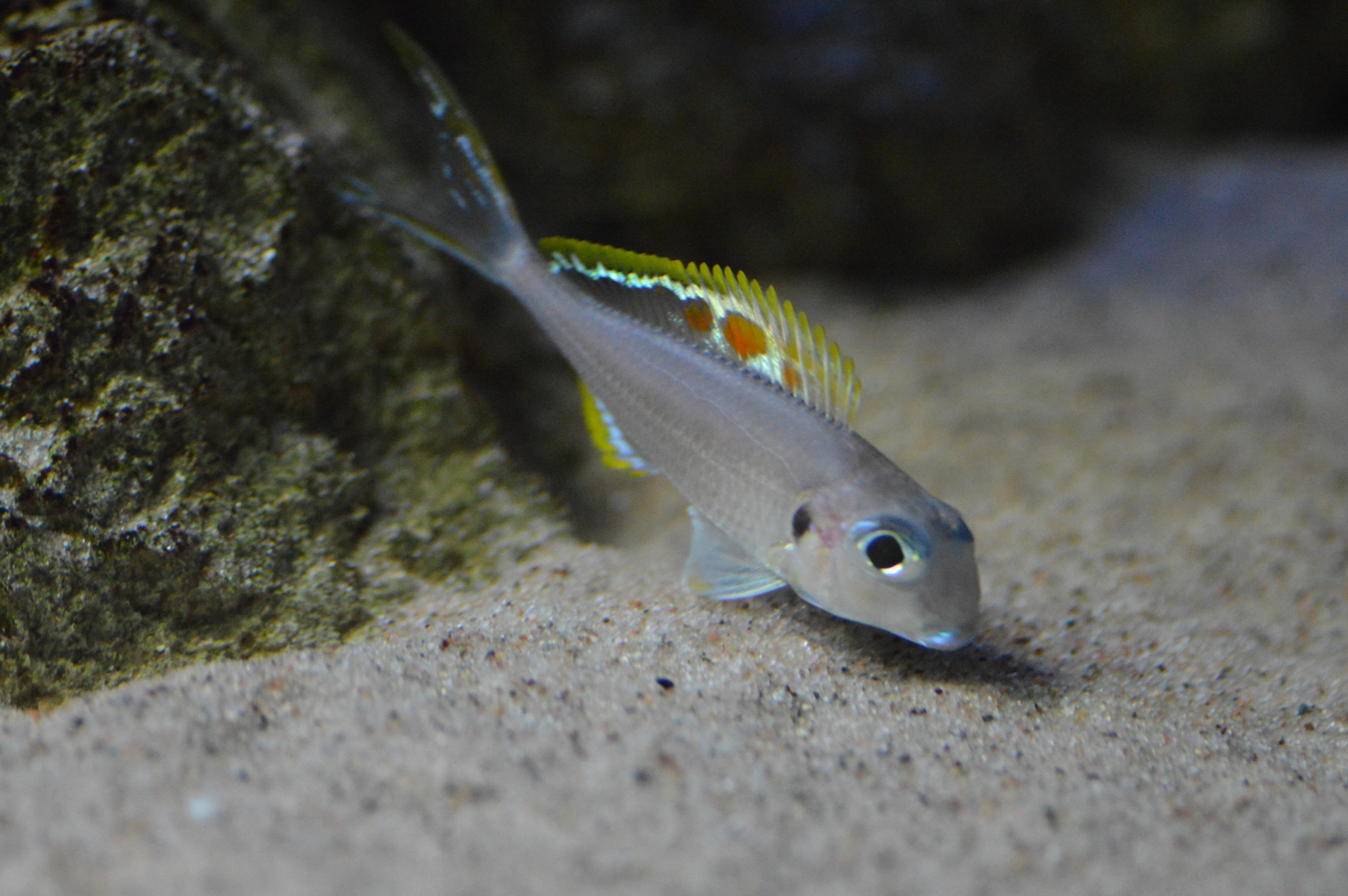 DSC_1756.jpg
