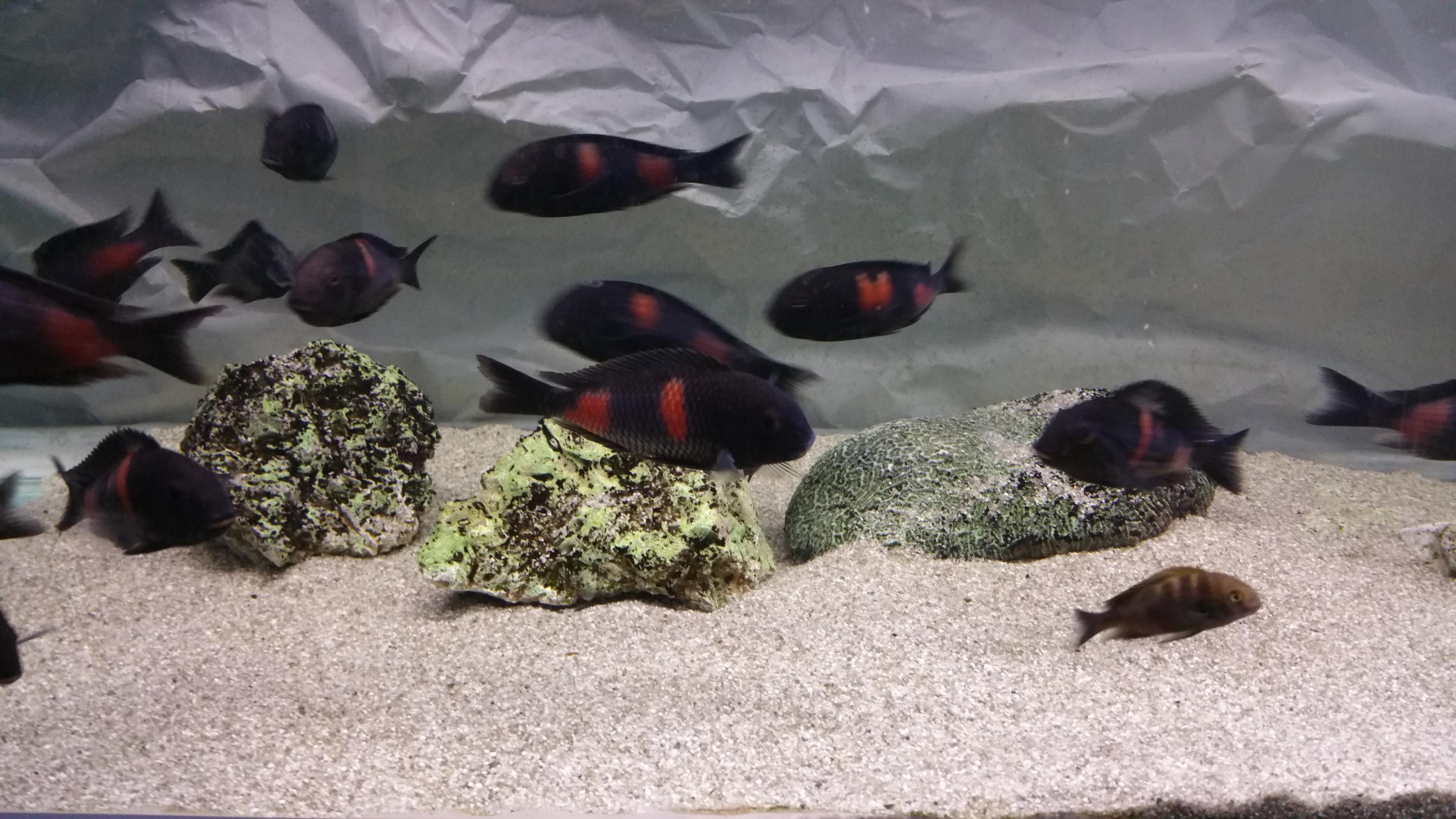 20160814_125914.jpg