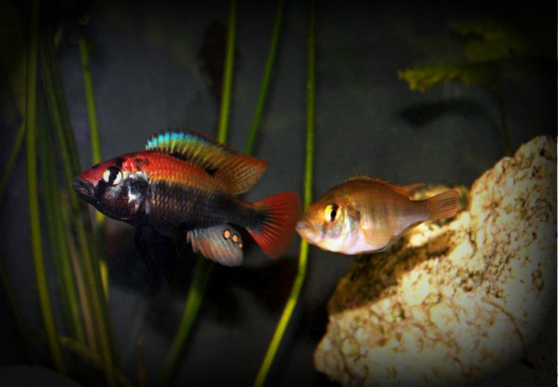 IMG_4791_1024x683edited.jpg