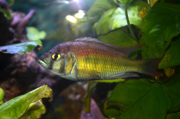 DSC_2241.JPG