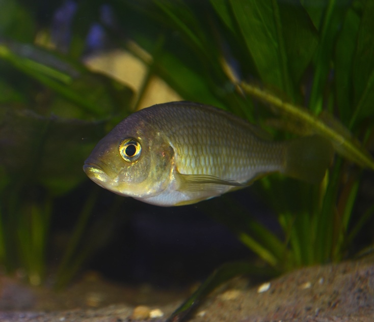 DSC_2208.JPG