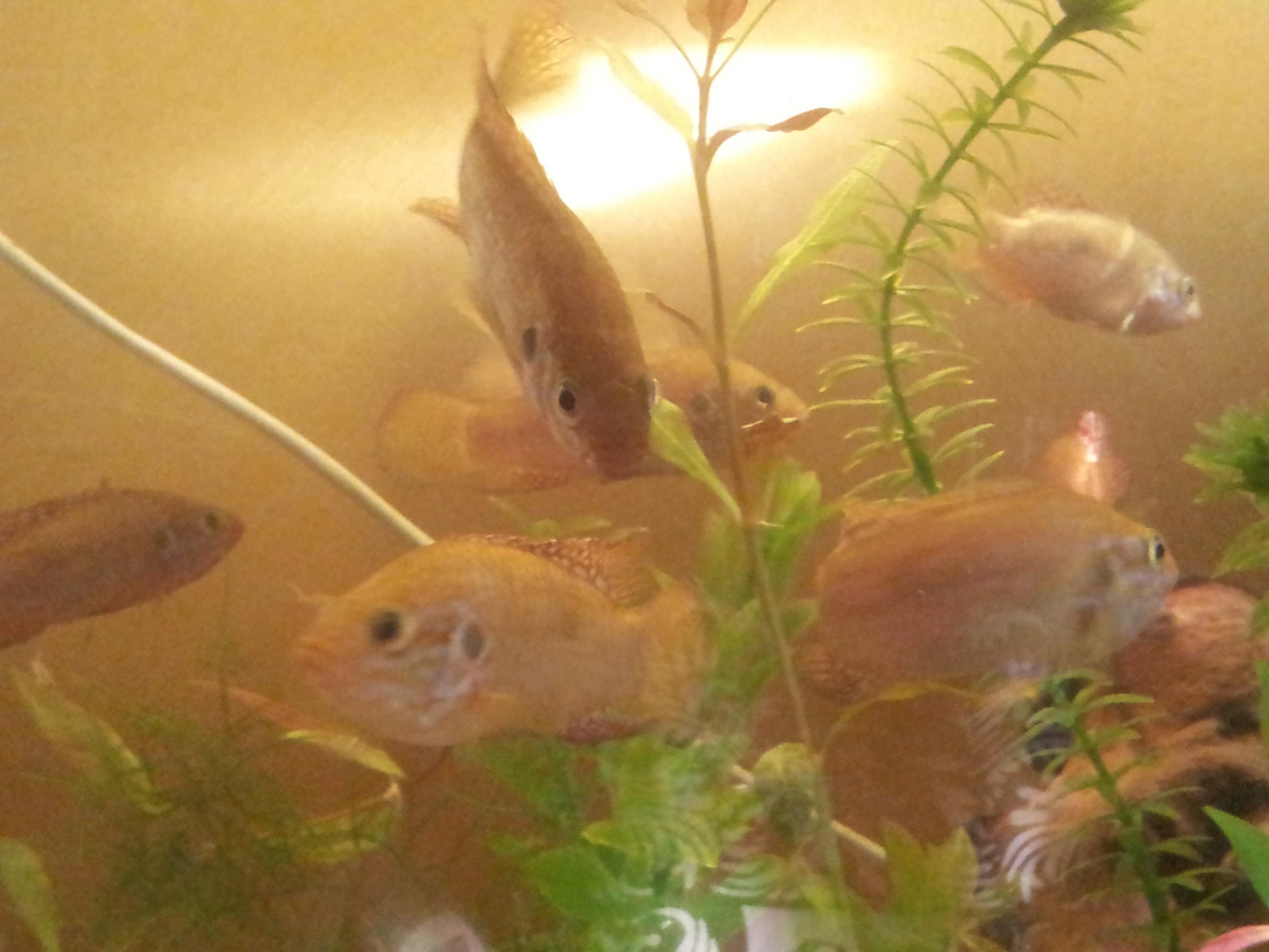 2013-09-04 08.37.20.jpg